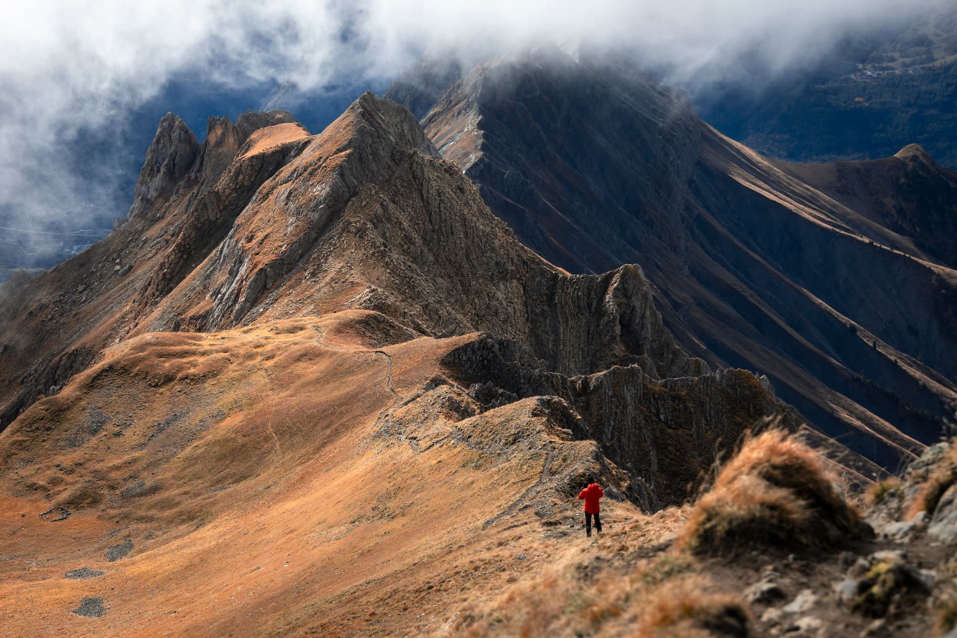 1775073959155 7W9A3340