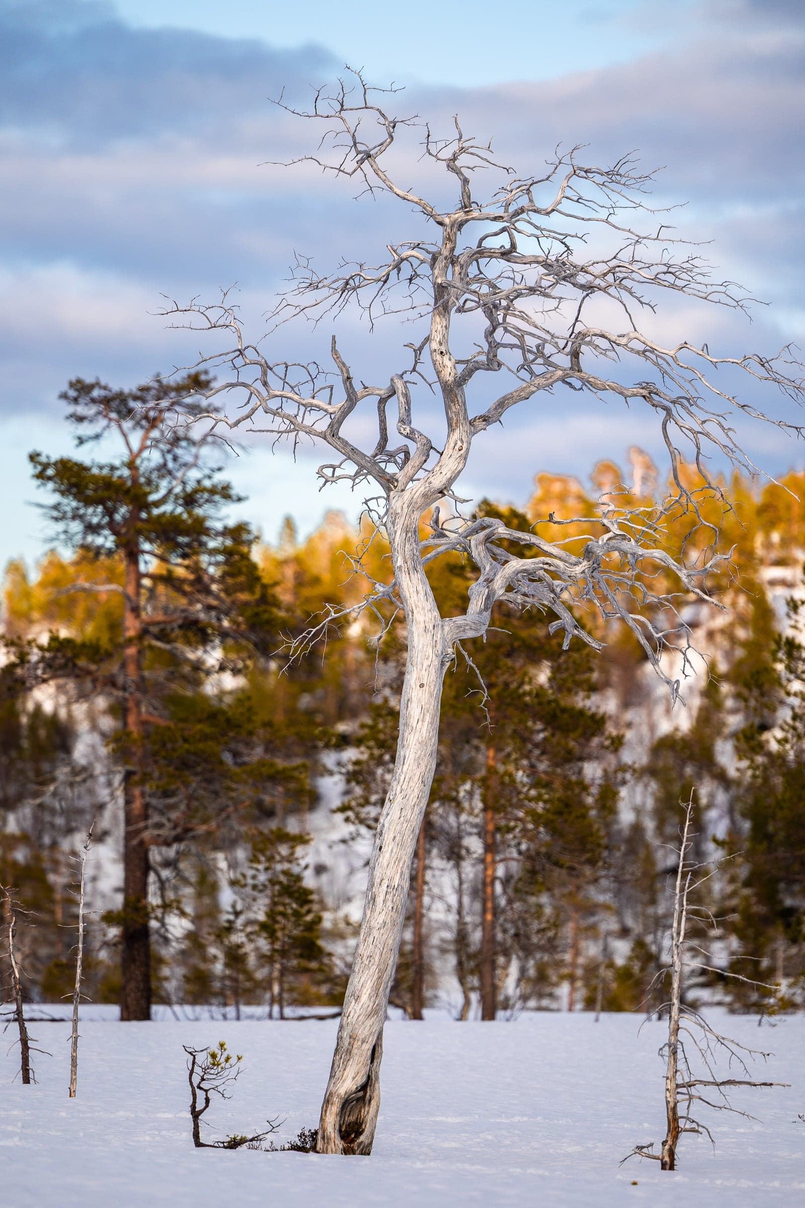 1776716186694 7W9A4844