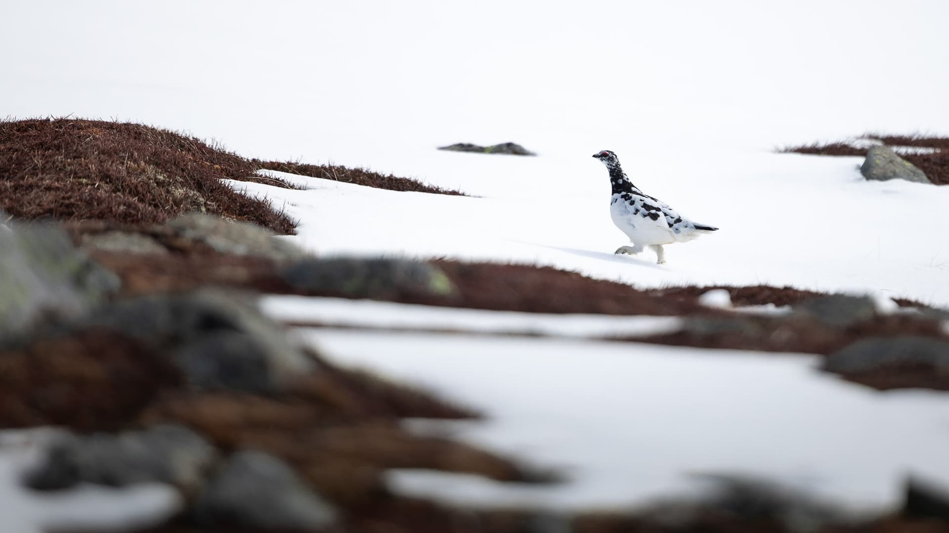 1776716188719 7W9A6178