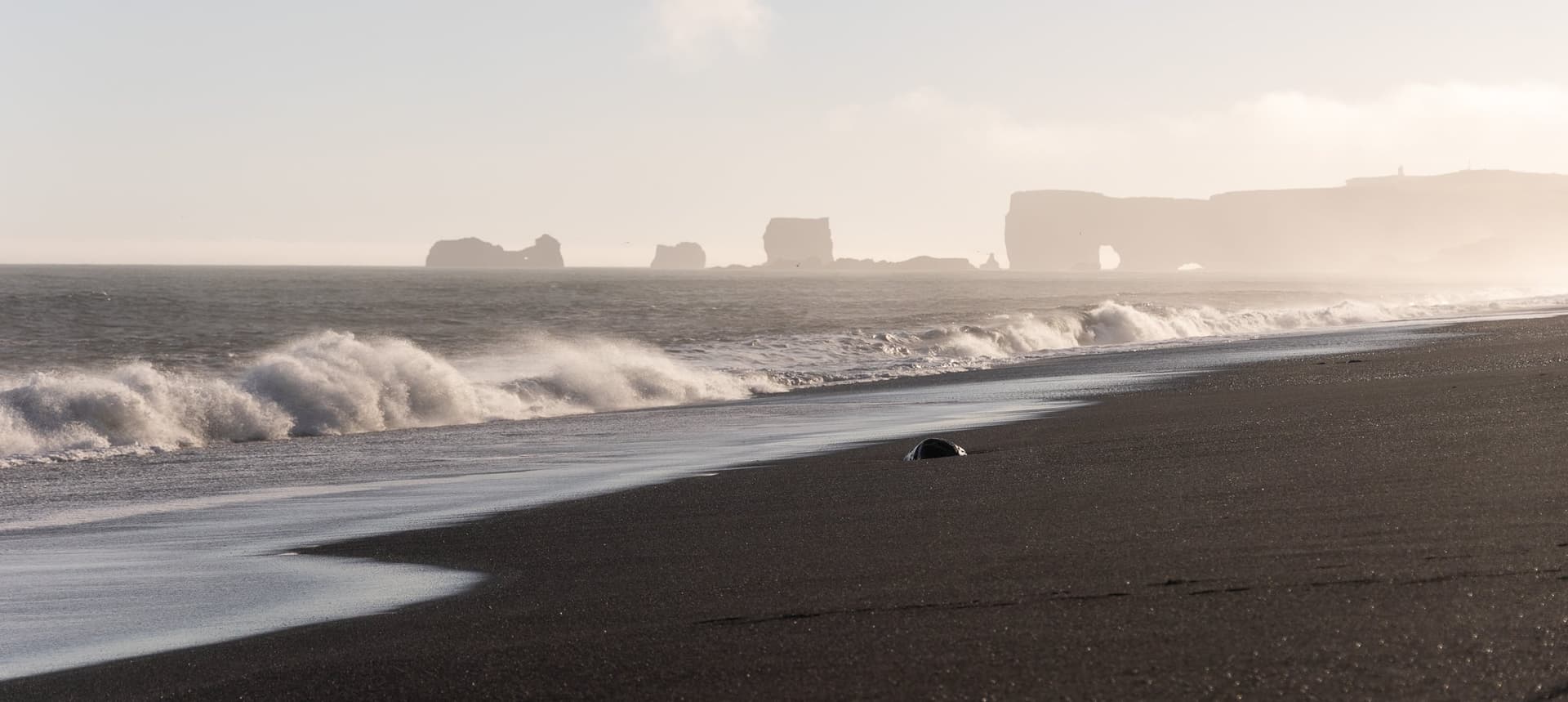 1776718121178 7W9A1739