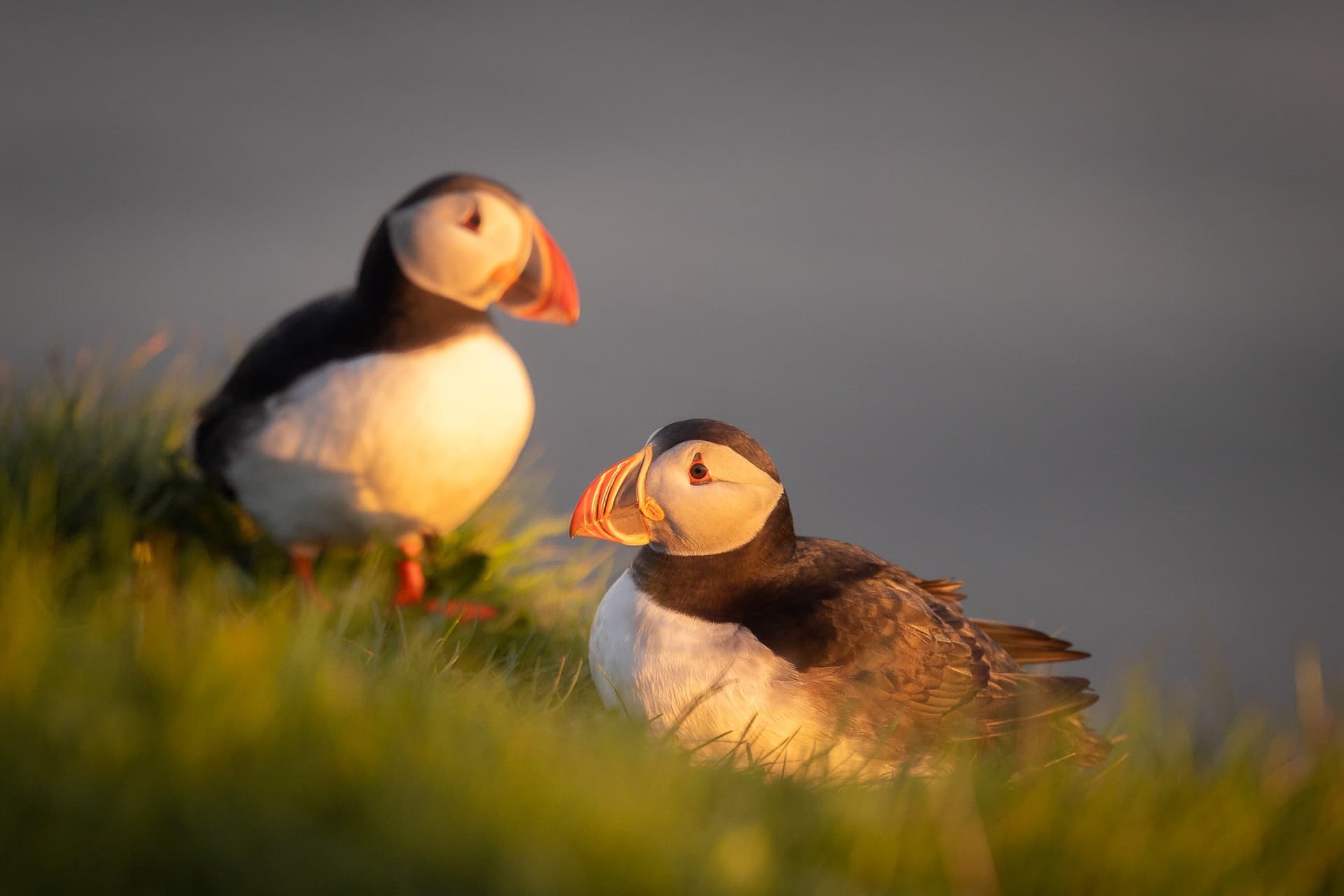 1776718121566 7W9A2131