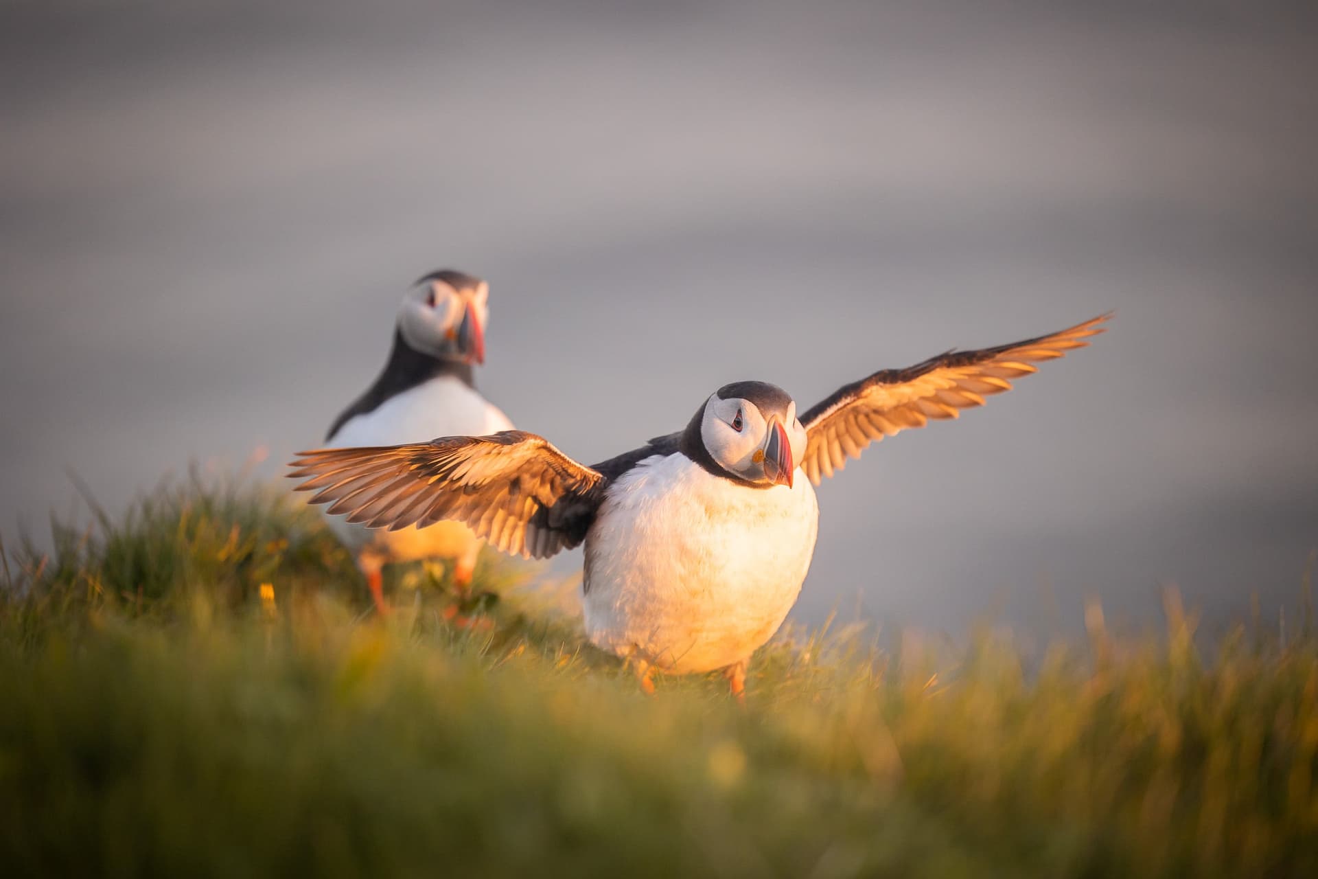 1776718121873 7W9A2162