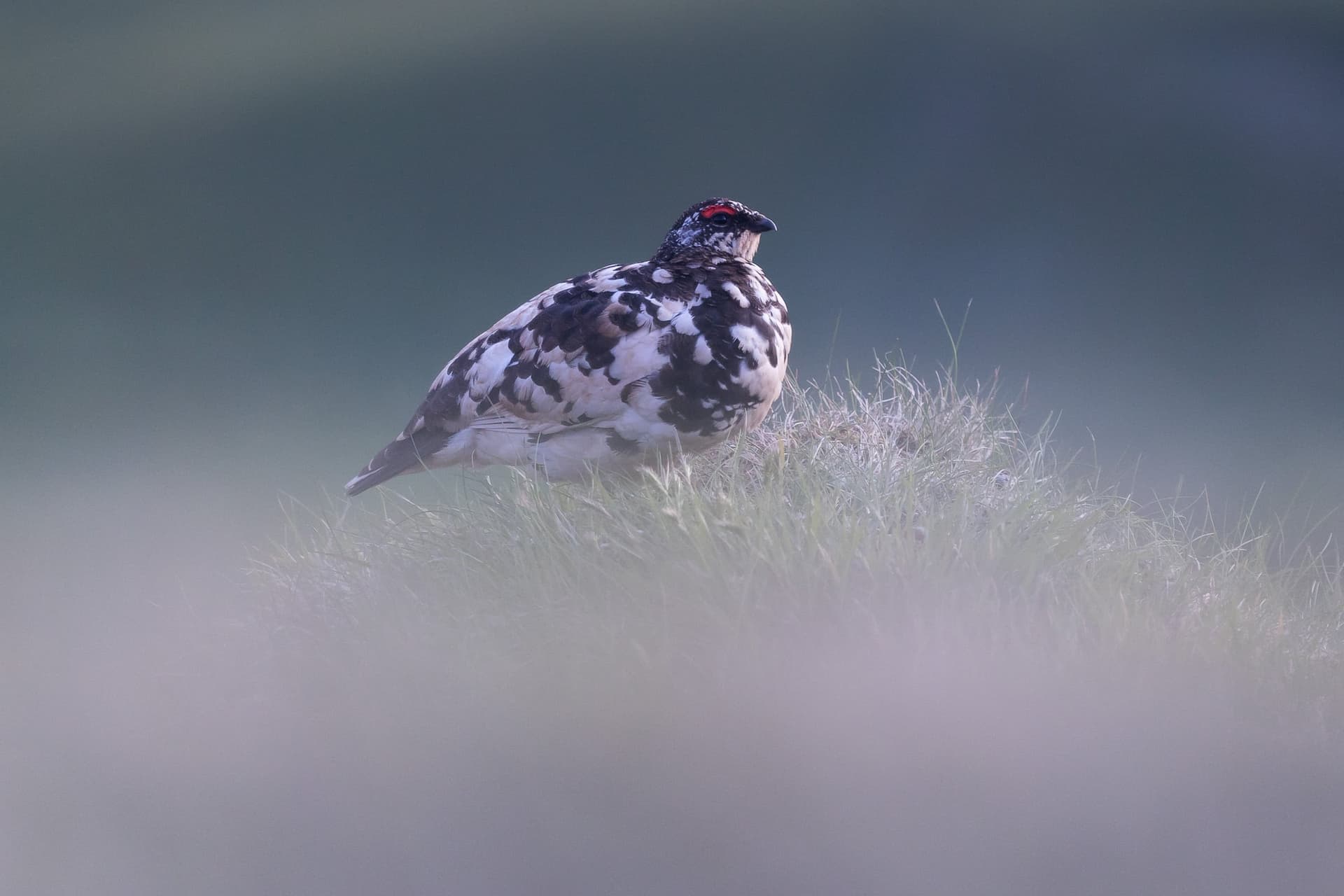 1776718122015 7W9A2286