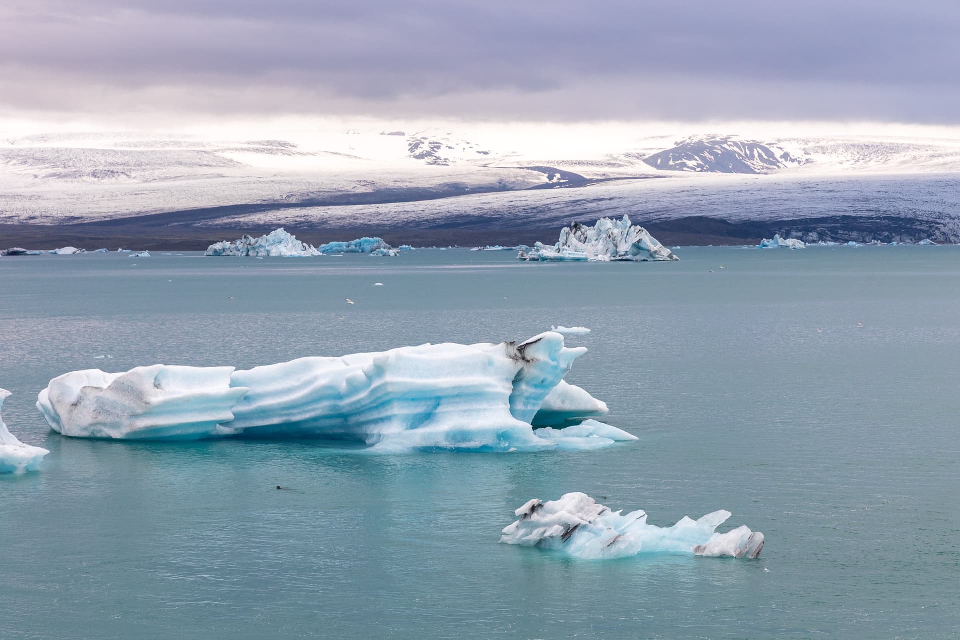 1776718254096 7W9A2850