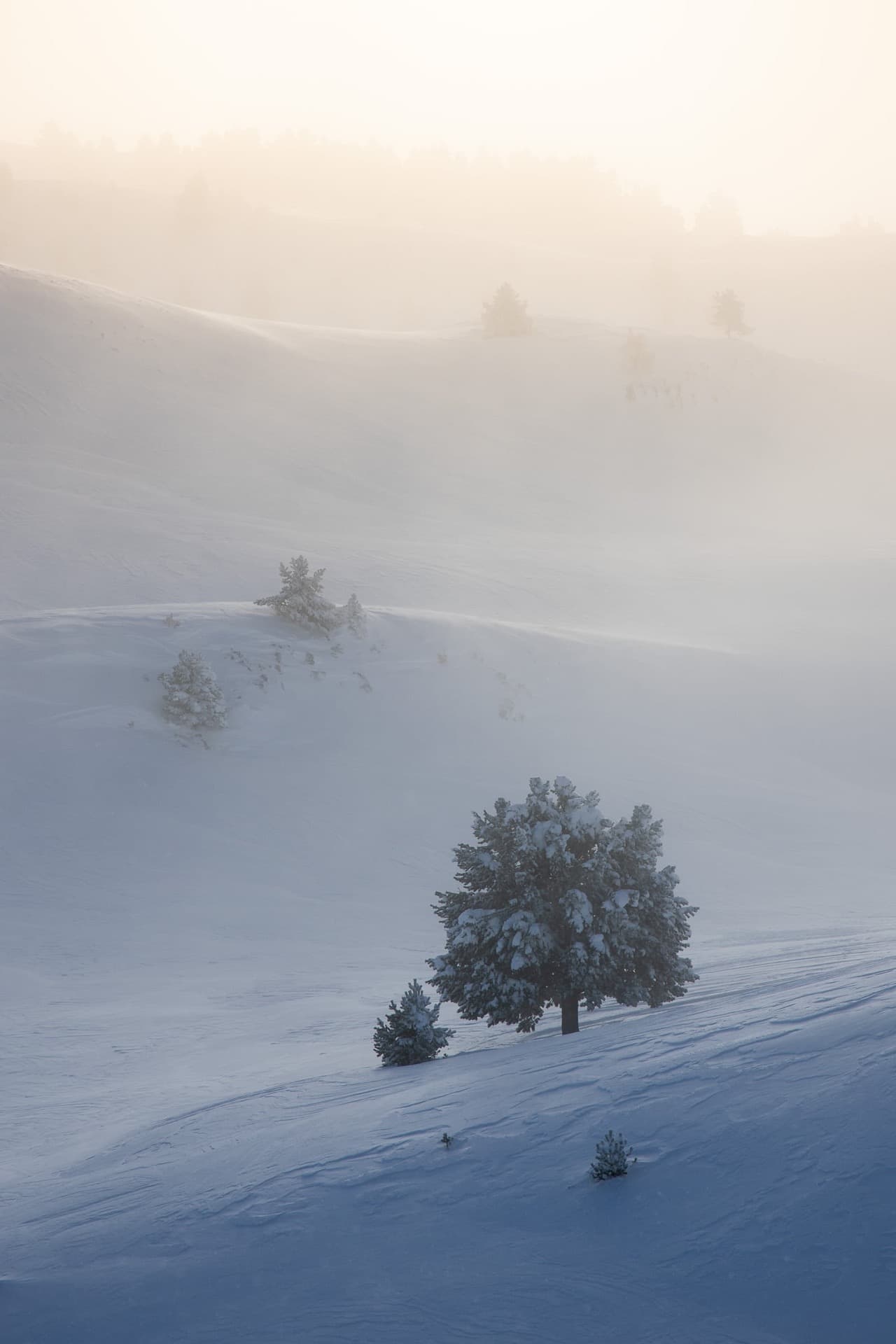 ombre et lumière