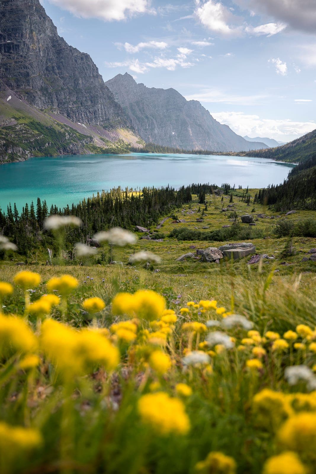 Blooming Foreground