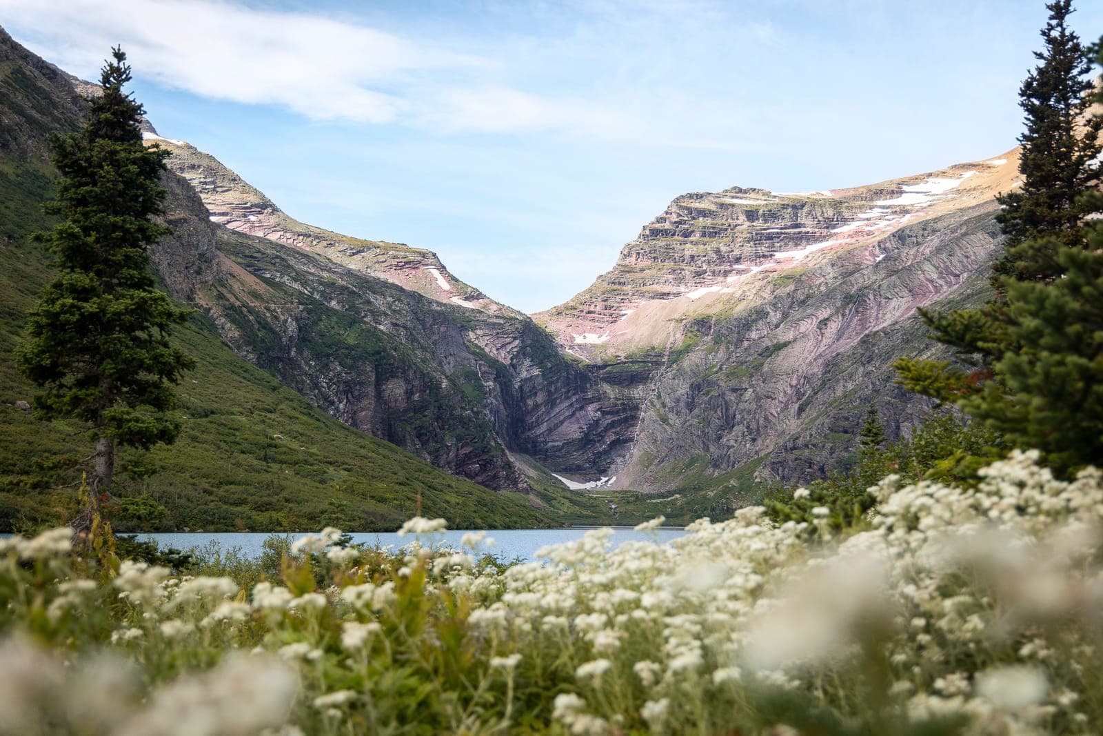 The Meadow of Gunsight Lake