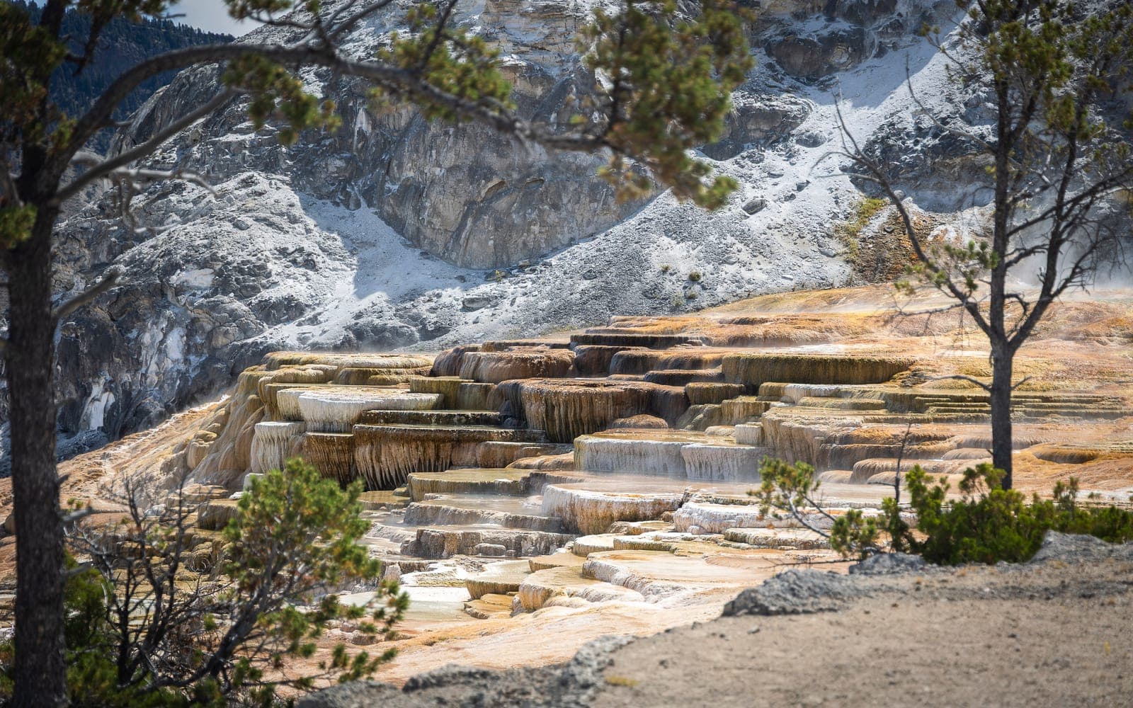 Mammoth Hot Springs