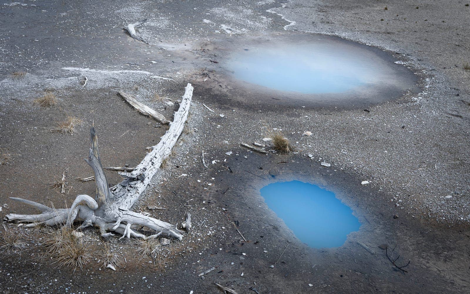 les yeux de la terre
