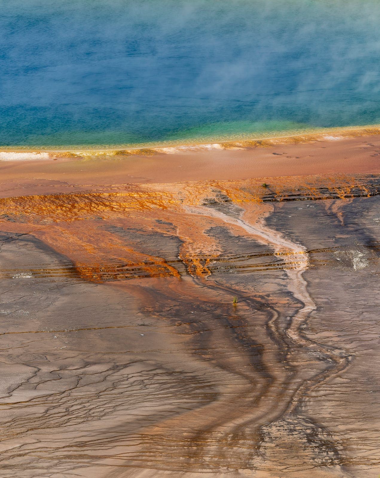 portrait de Grand Prismatic Spring
