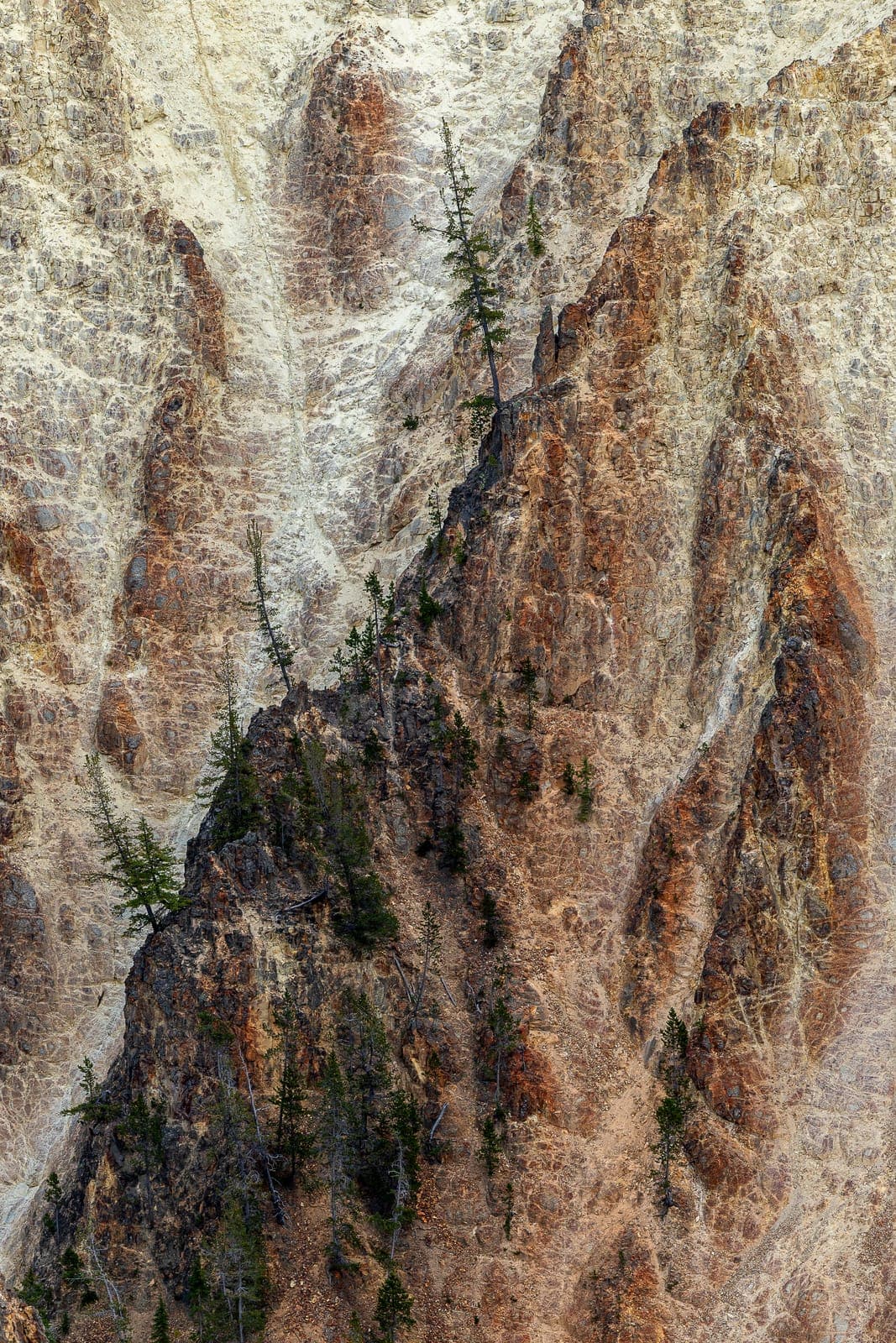 tableau de roche