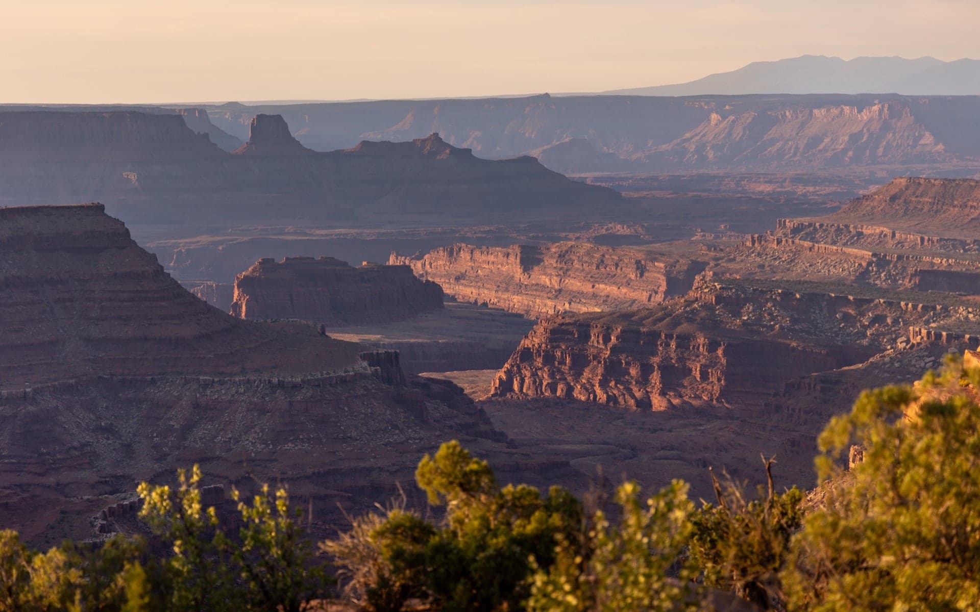 Canyonlands at Sunset