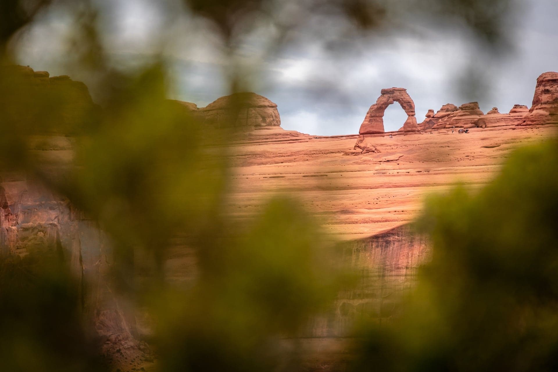Delicate Arch Through the Vegetation