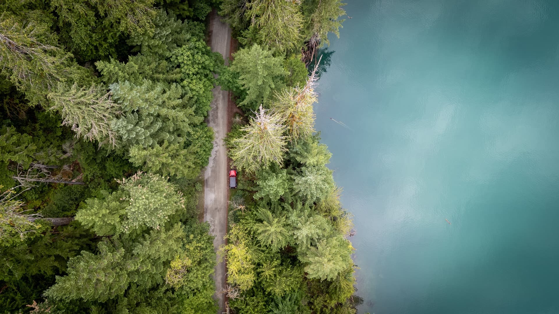 perdus dans la nature