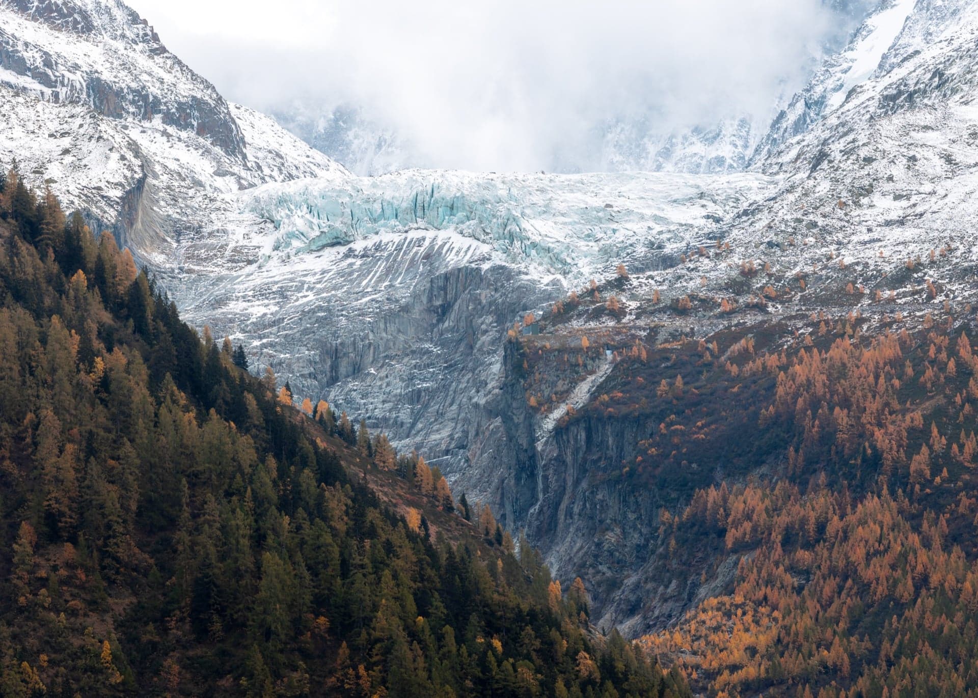 glacier et mélèzes