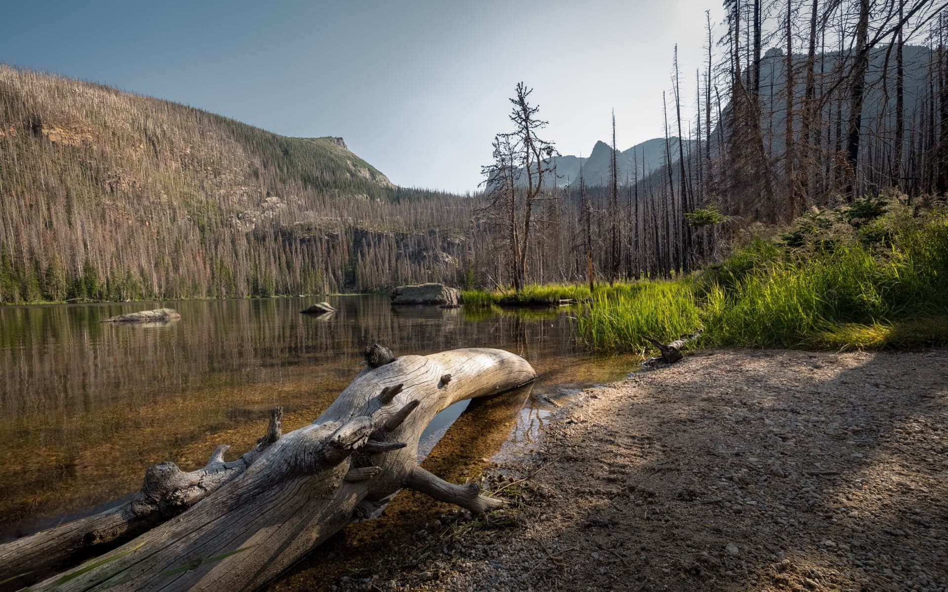 Mountain Lake after the Fire