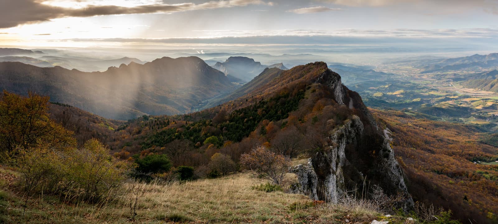 panorama sur la forêt de saou
