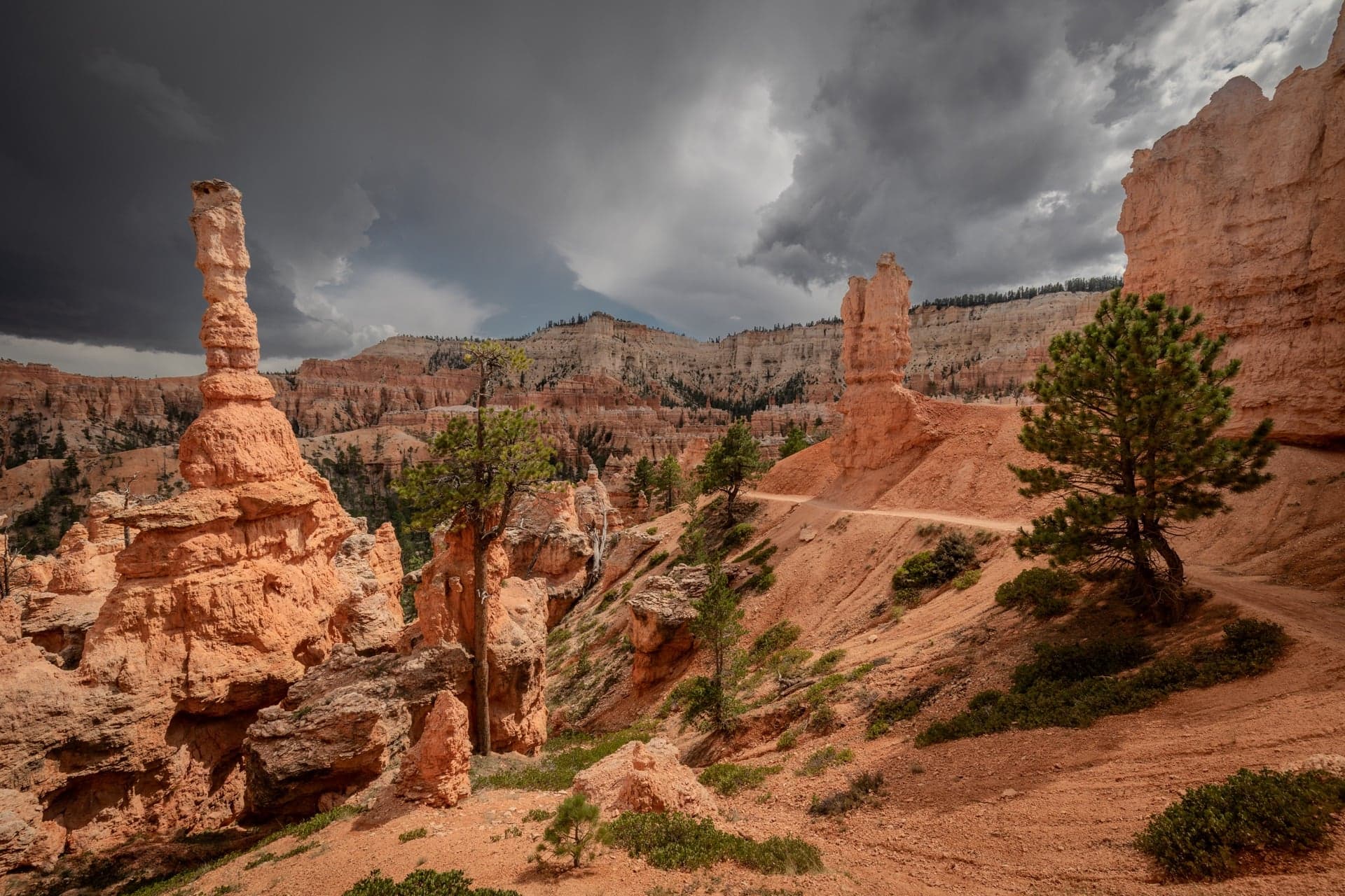 Navajo Loop Trail