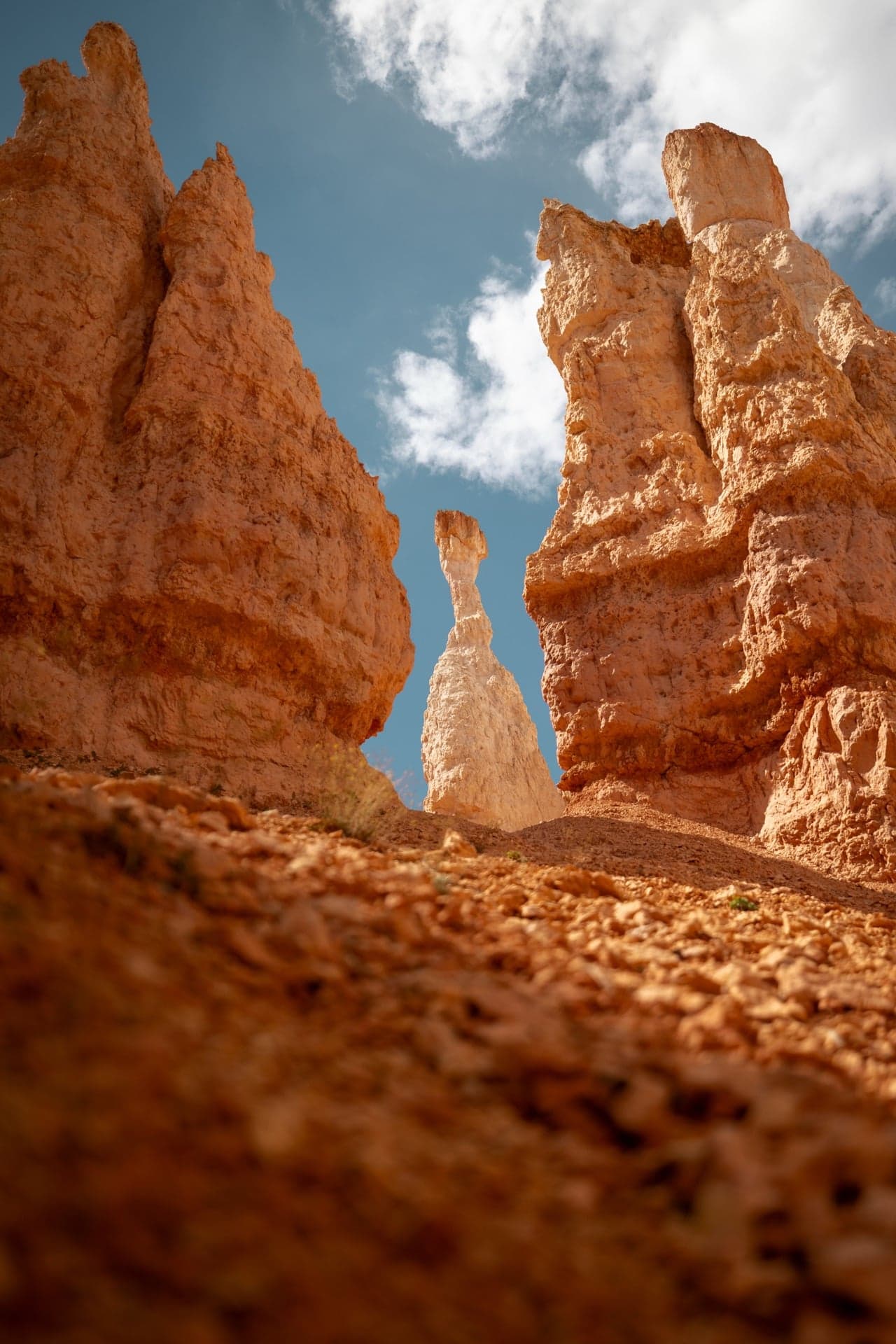 Among the Hoodoos