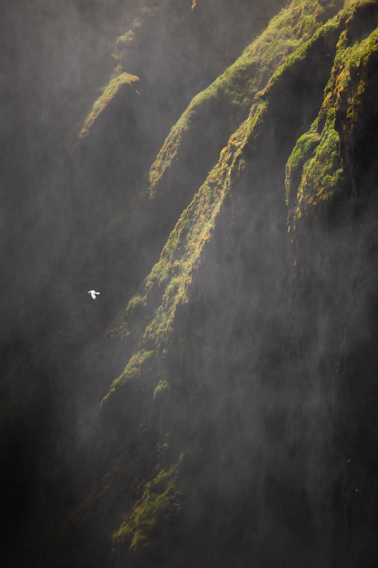 brume sur skógafoss