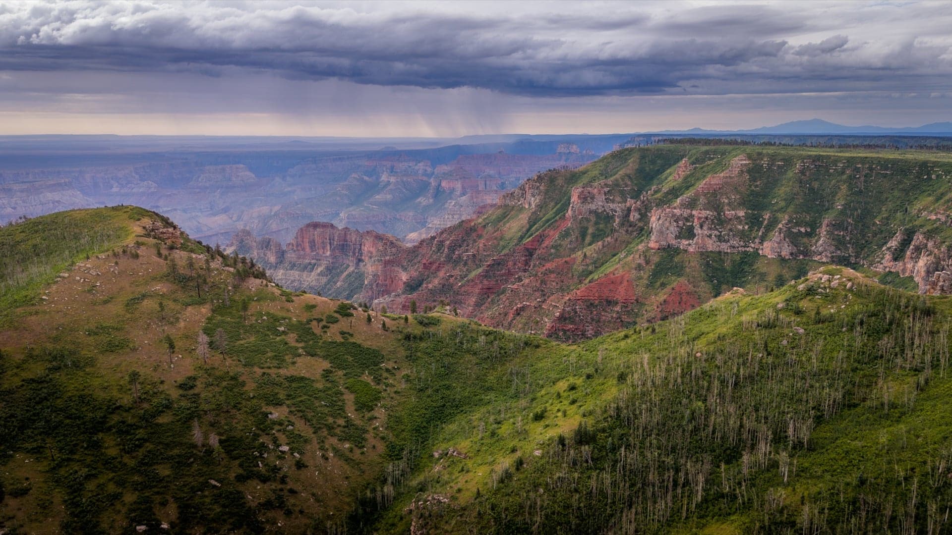 survol du grand canyon