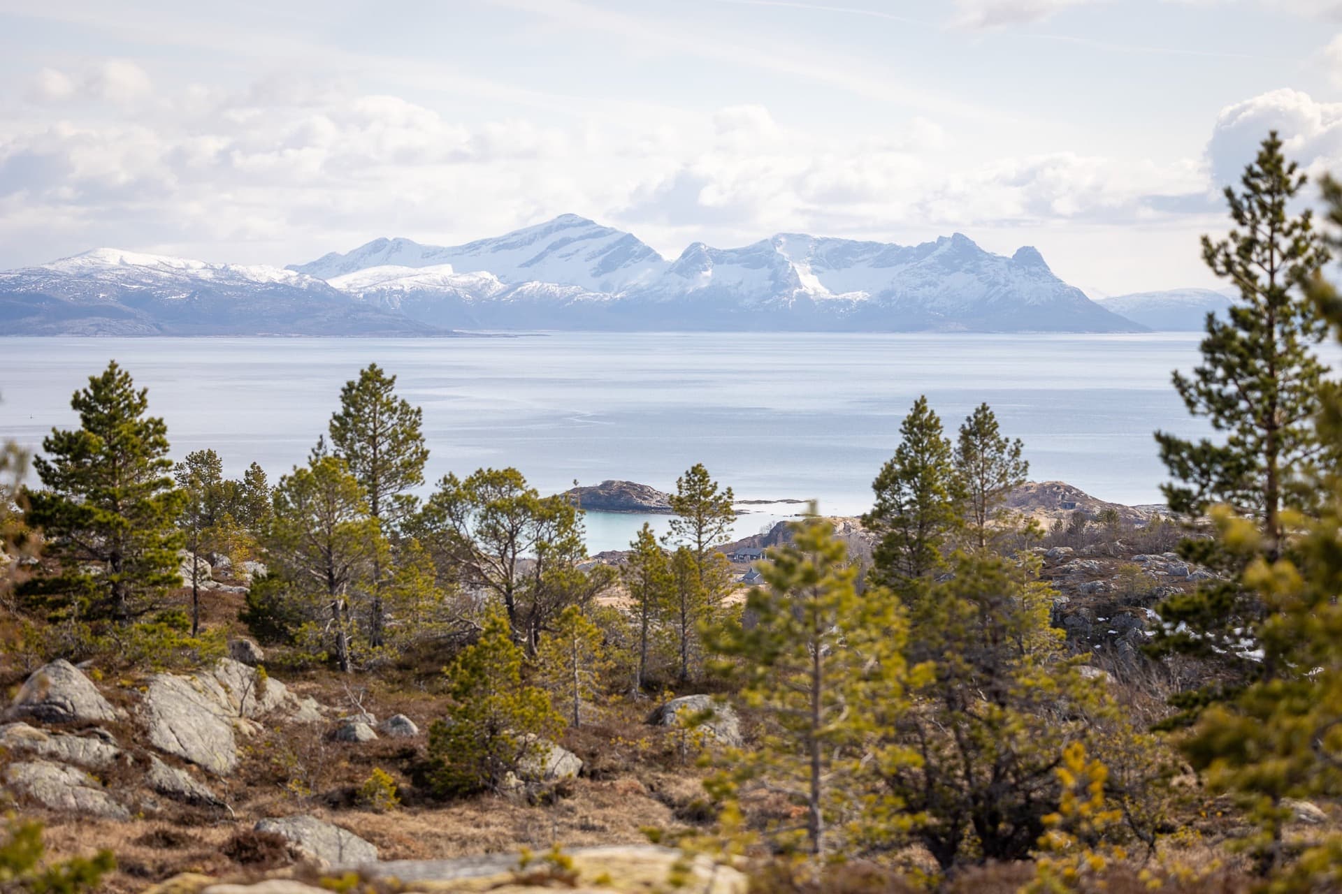 vue sur les alpes de lyngen