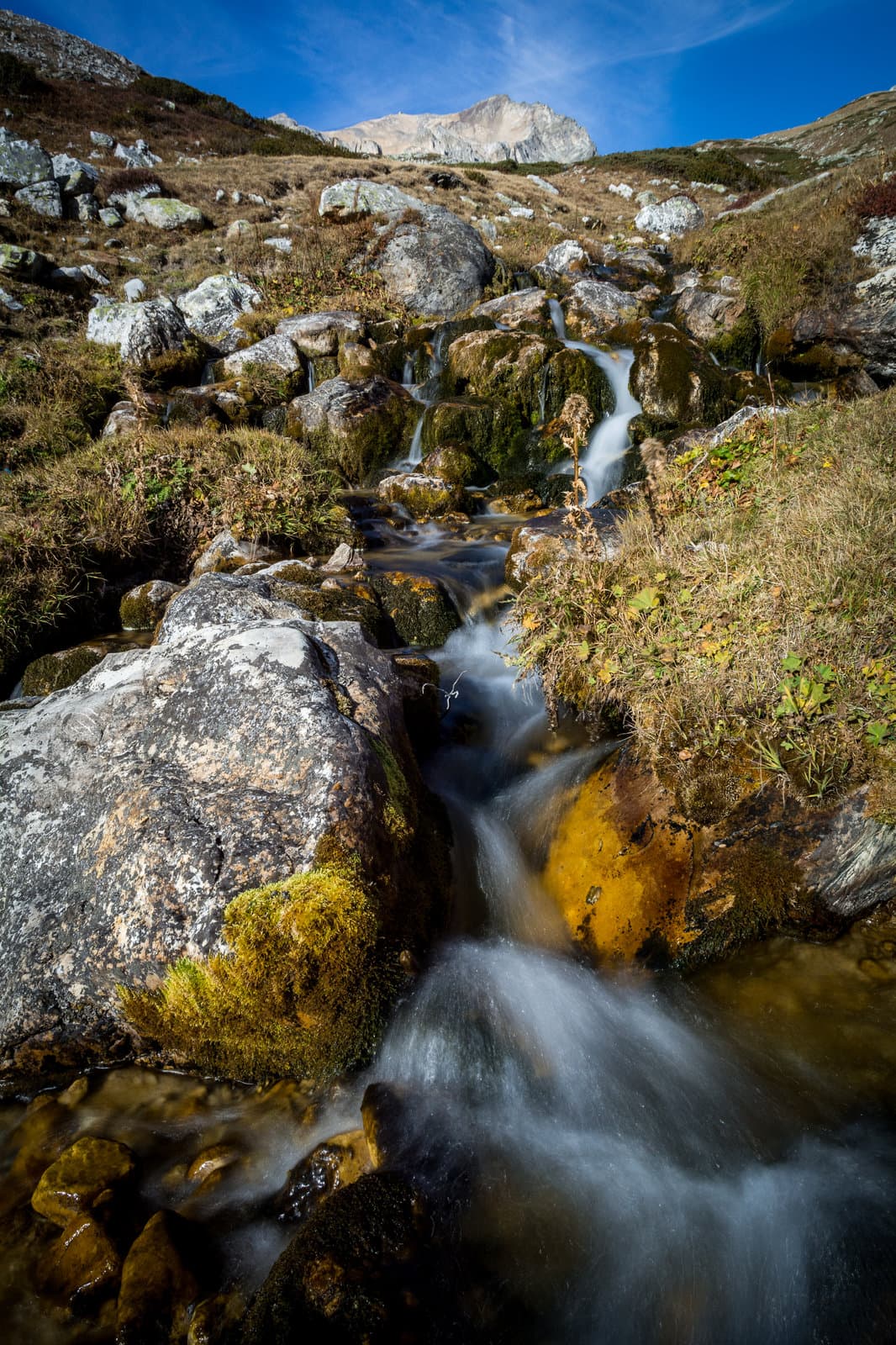 Vallon de la Tavernette
