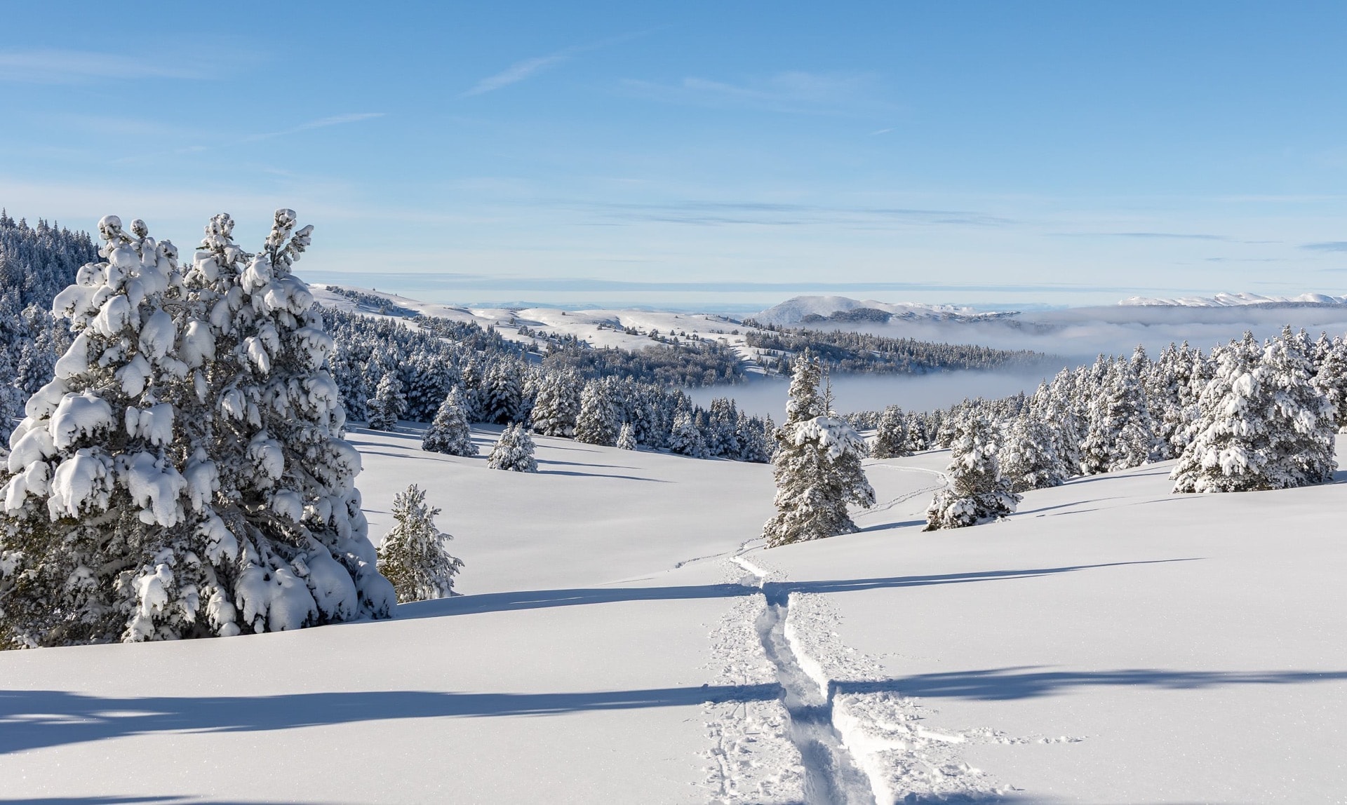 Les plateaux enneigés — Vercors