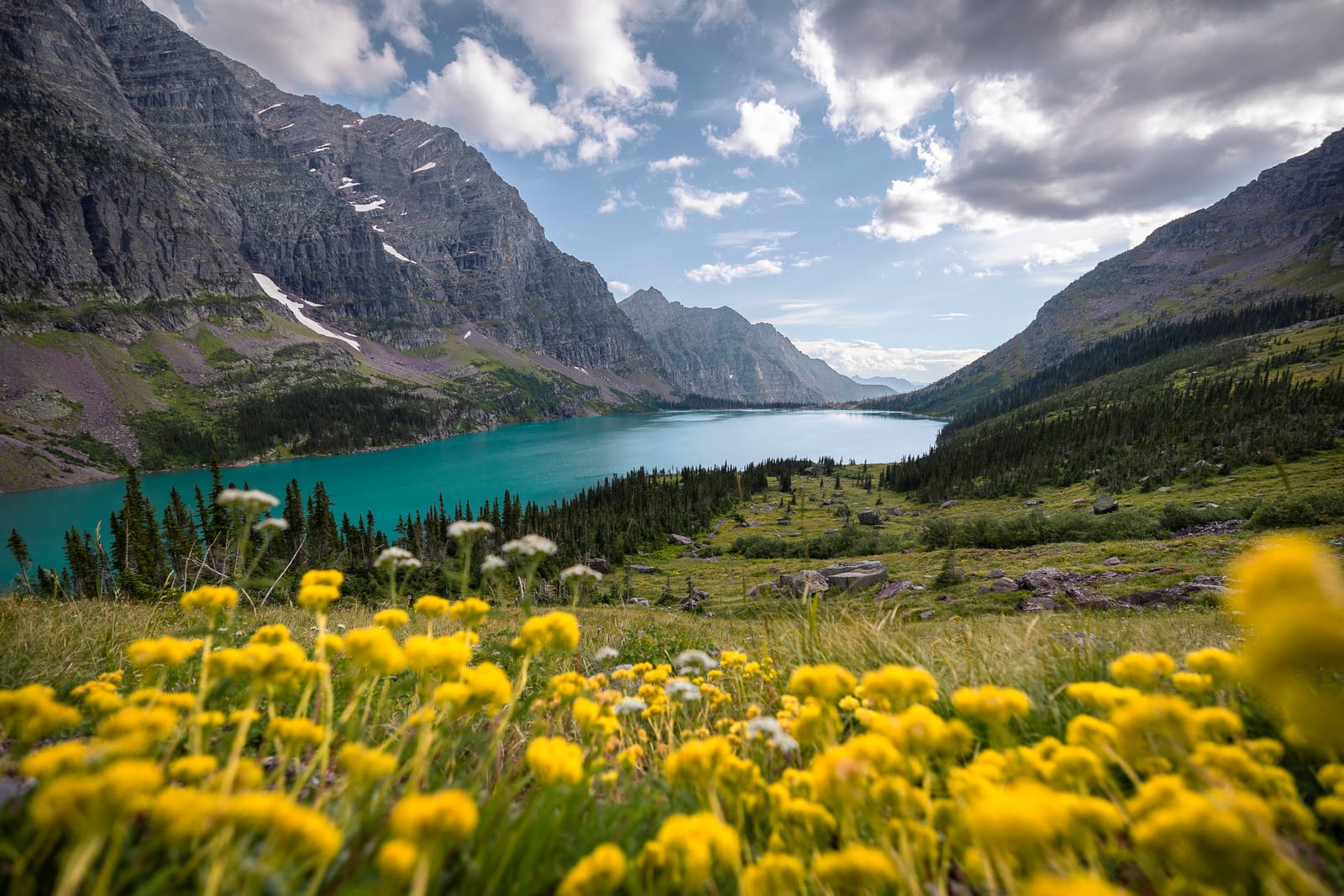 Prairie d'or — Glacier, ETATS UNIS