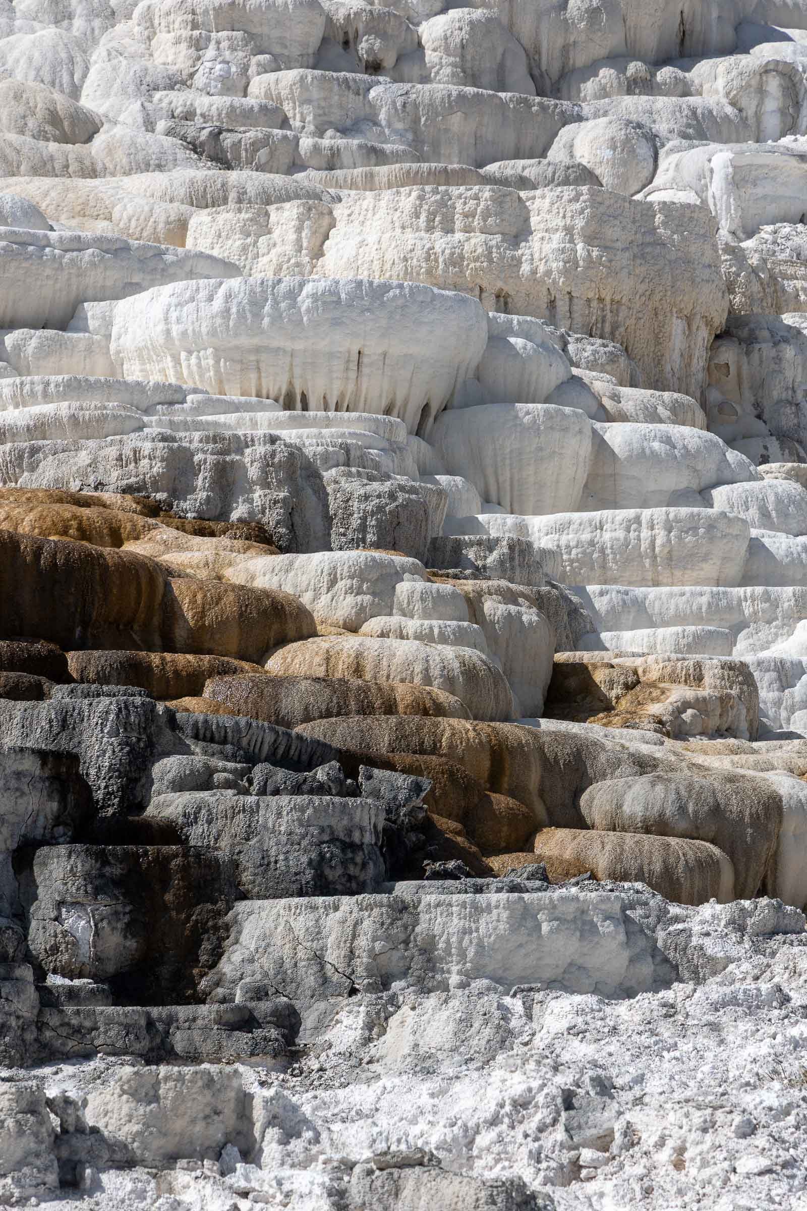 MAMMOTH HOT SPRINGS — Parc National de Yellowstone, Wyoming