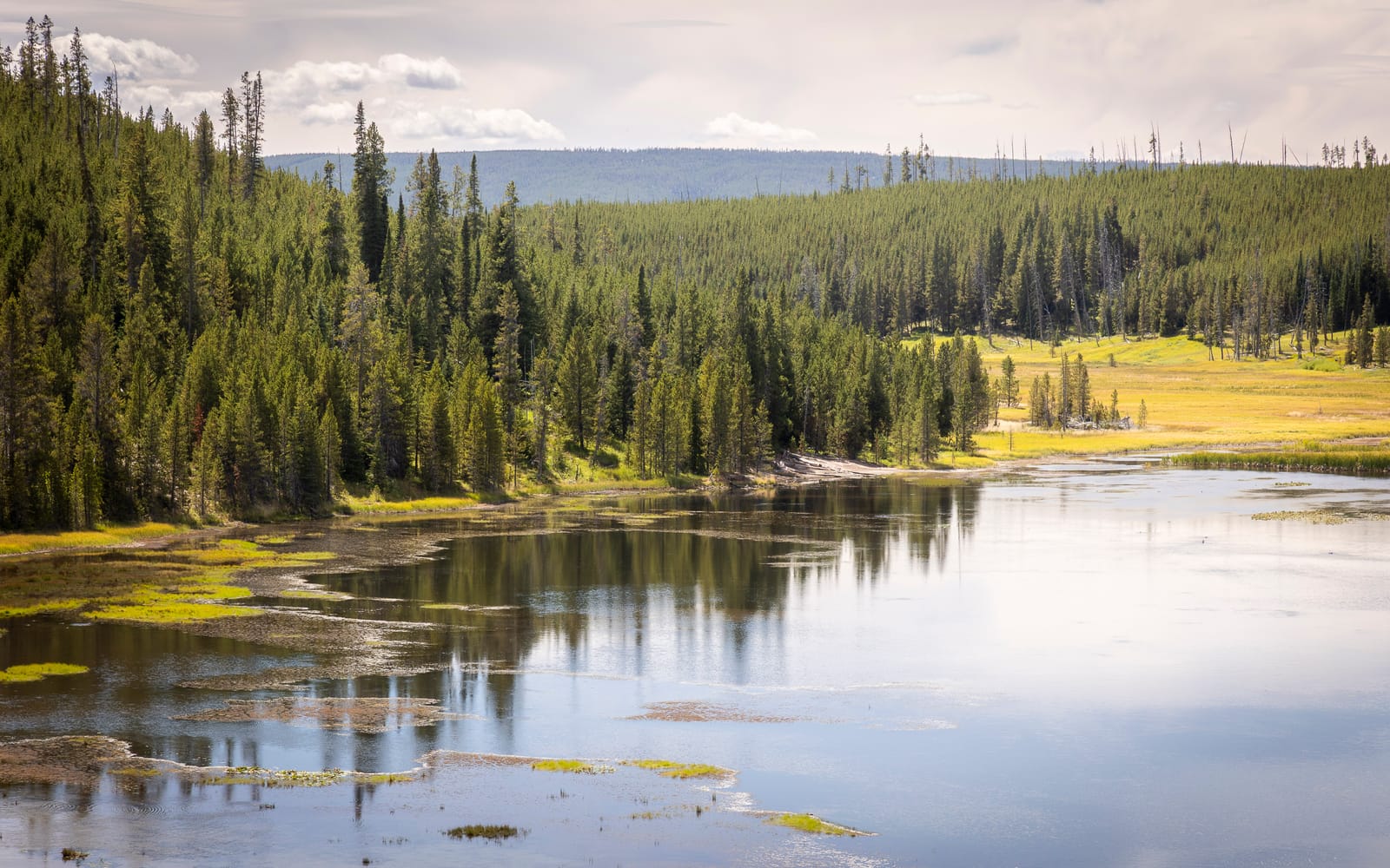 Along the Water — Yellowstone, UNITED STATES