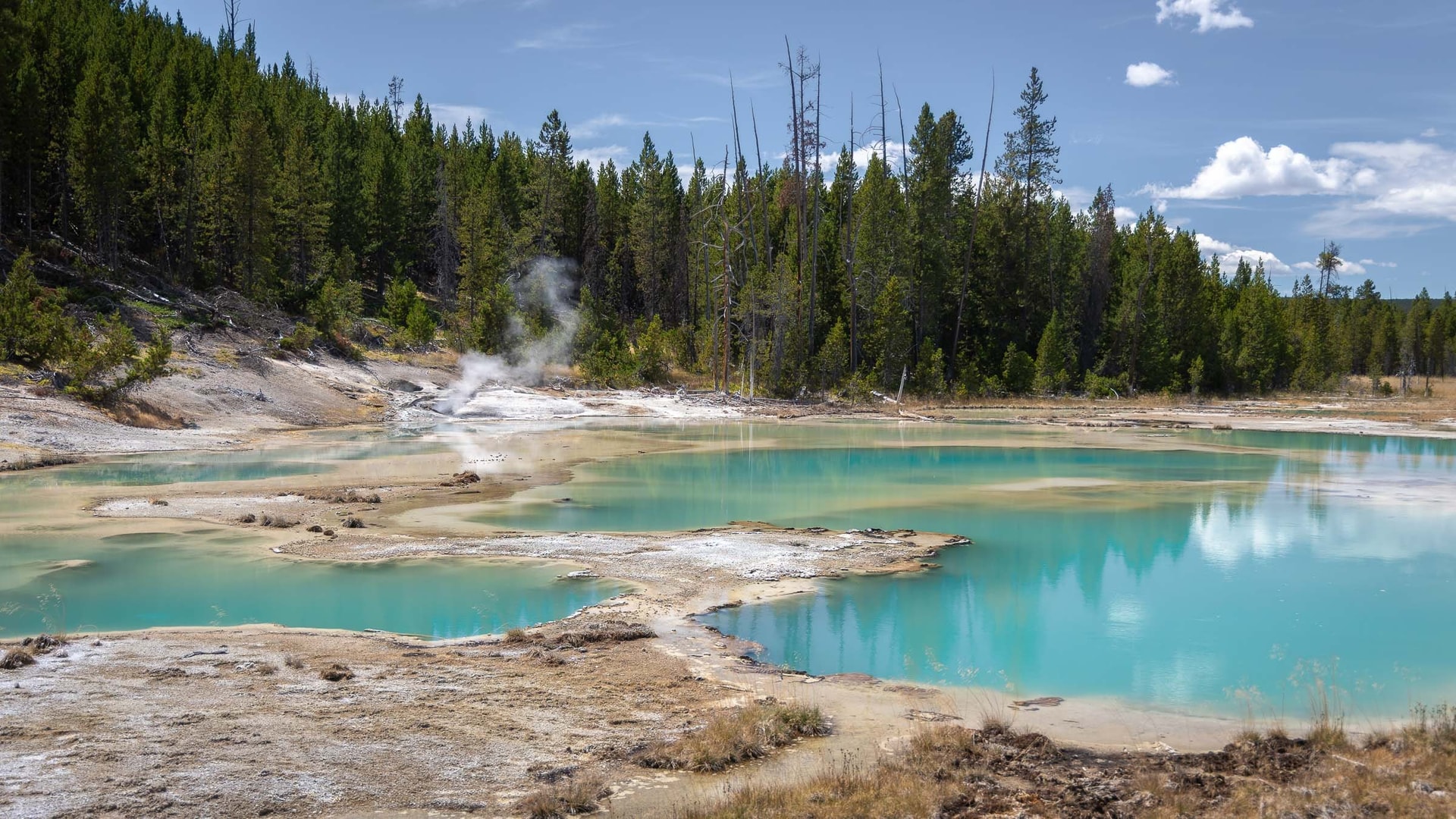Norris Geyser Basin — Parc National de Yellowstone, Wyoming
