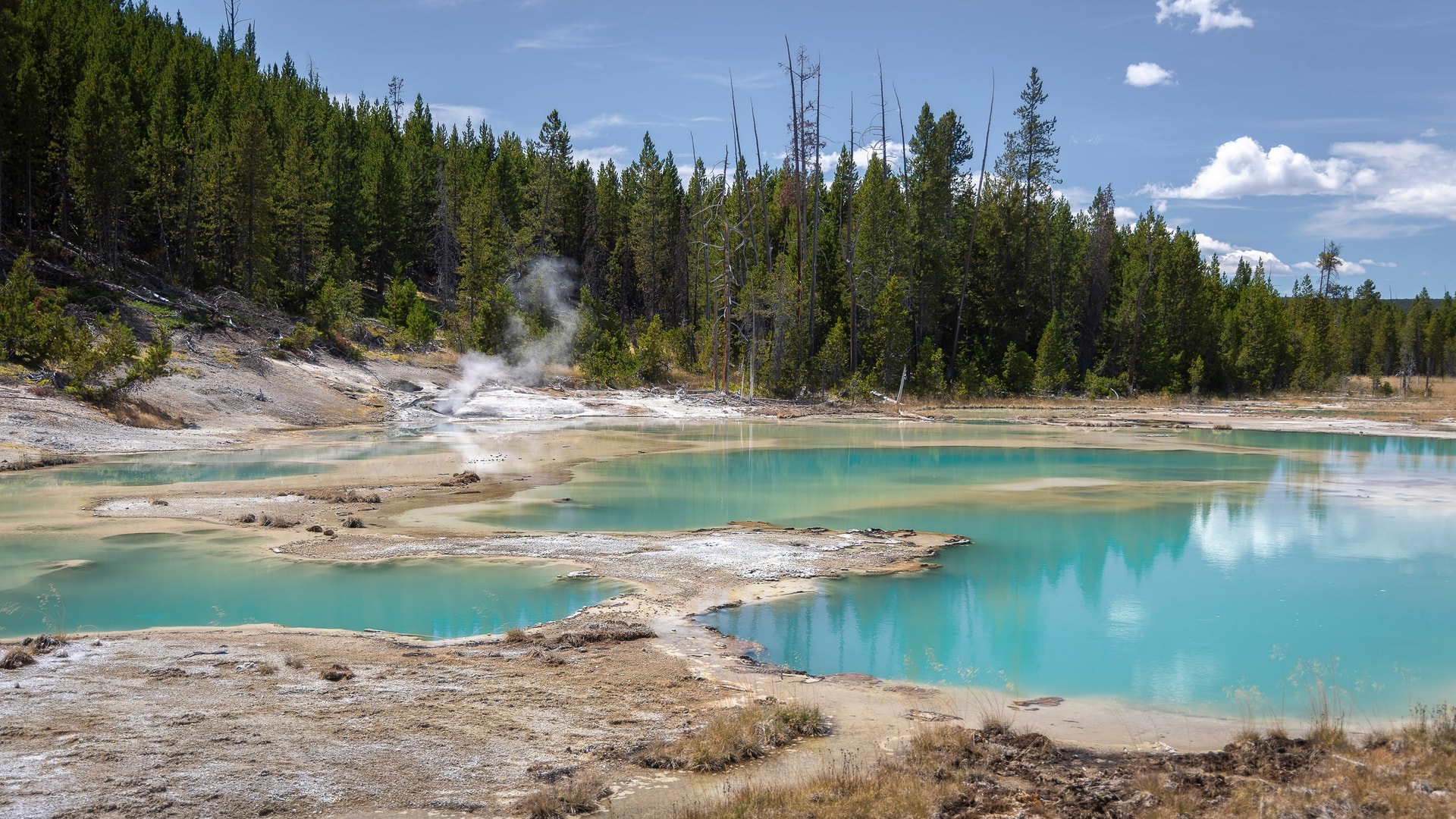 Porcelain Basin — Yellowstone, UNITED STATES