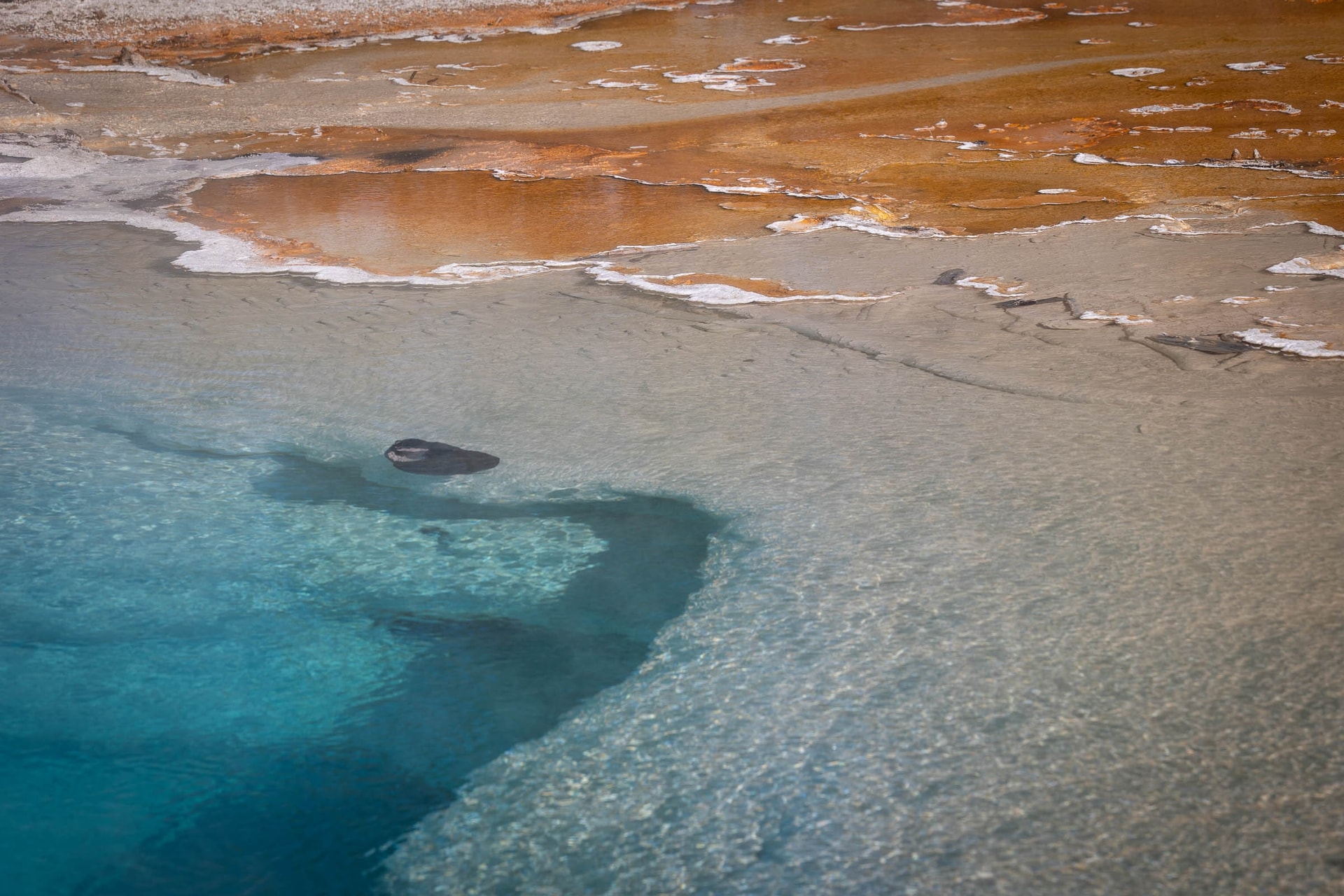 Norris Geyser Basin — Parc National de Yellowstone, Wyoming