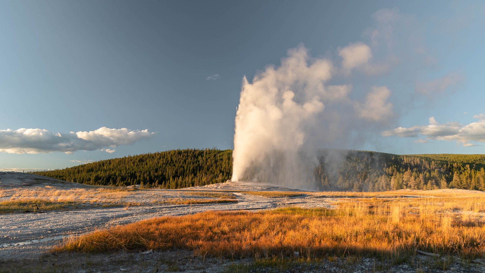 Les EMBLéMATIQUES du parc — Parc National de Yellowstone, Wyoming
