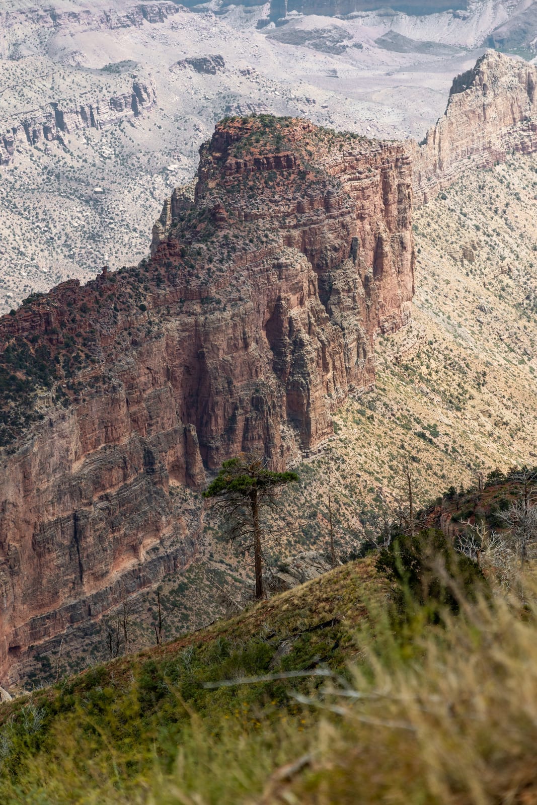 Cape Royal Road — Parc National de Grand Canyon, Arizona