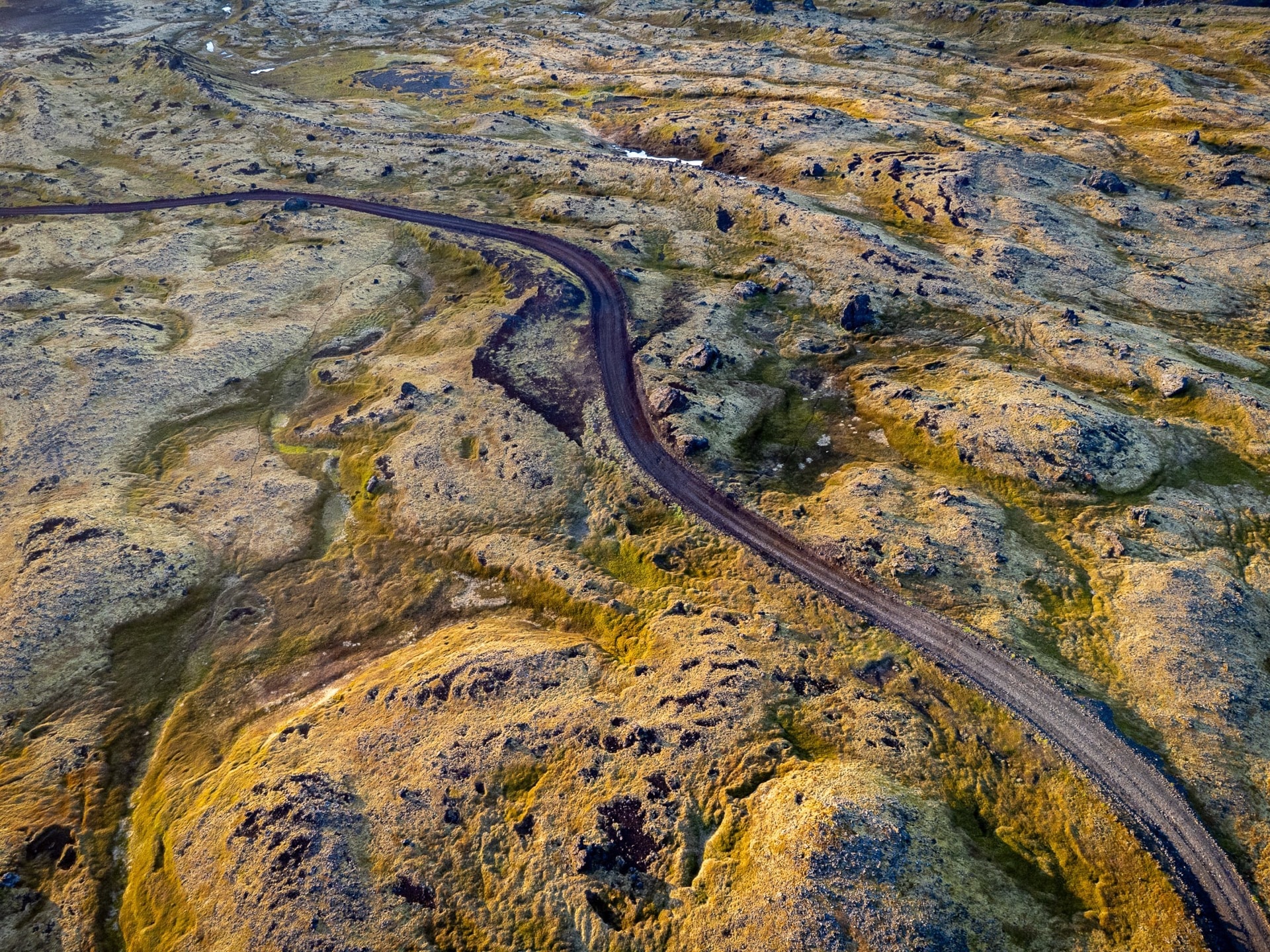 Through the Moss — Iceland