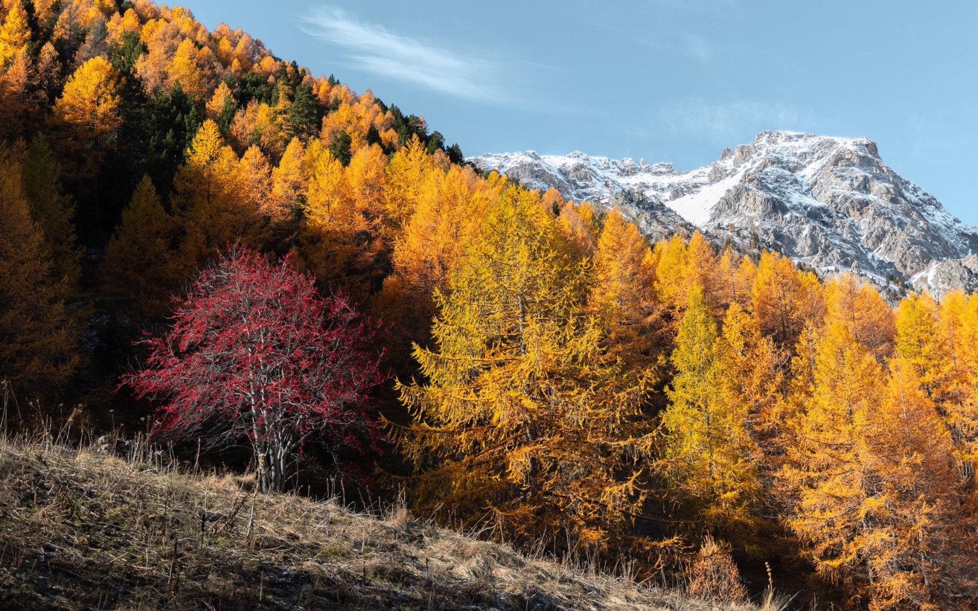 Contrastes d'automne — Cerces
