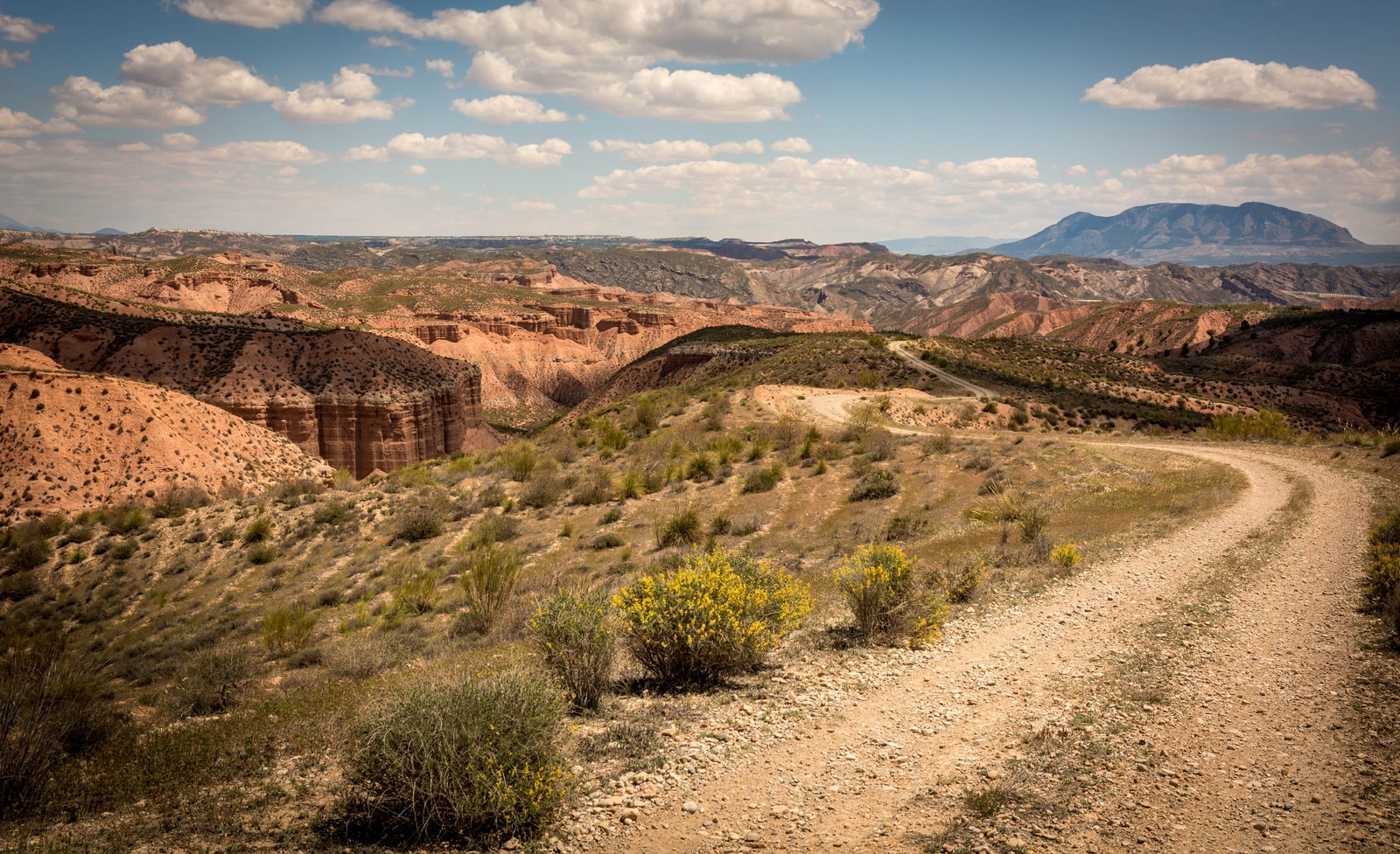 Desert Landscape — Diverse Nature