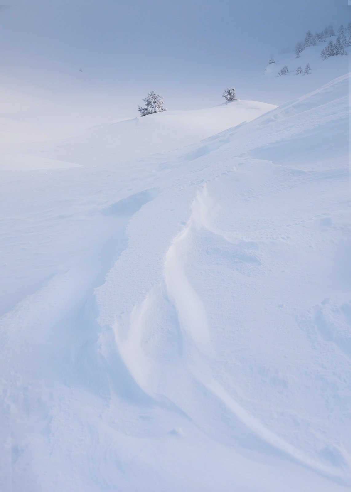 Les Plateaux du Vercors immaculés