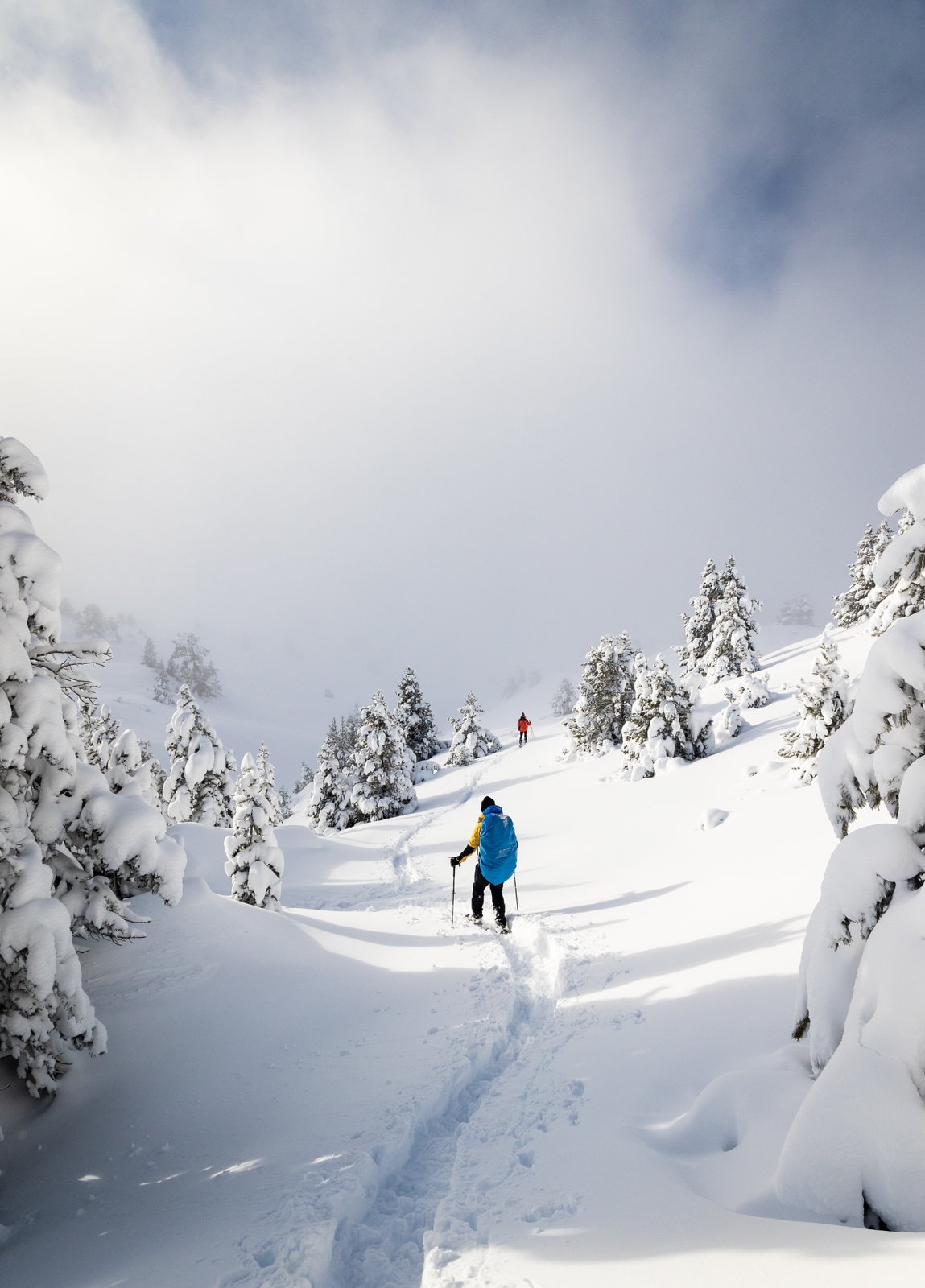 Les Plateaux du Vercors immaculés