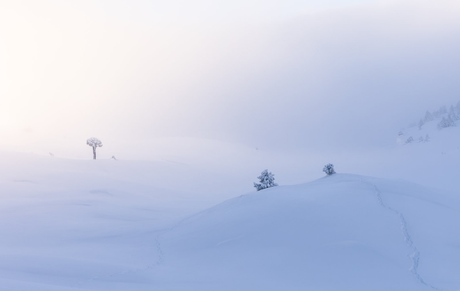 The Immaculate Vercors Plateaus