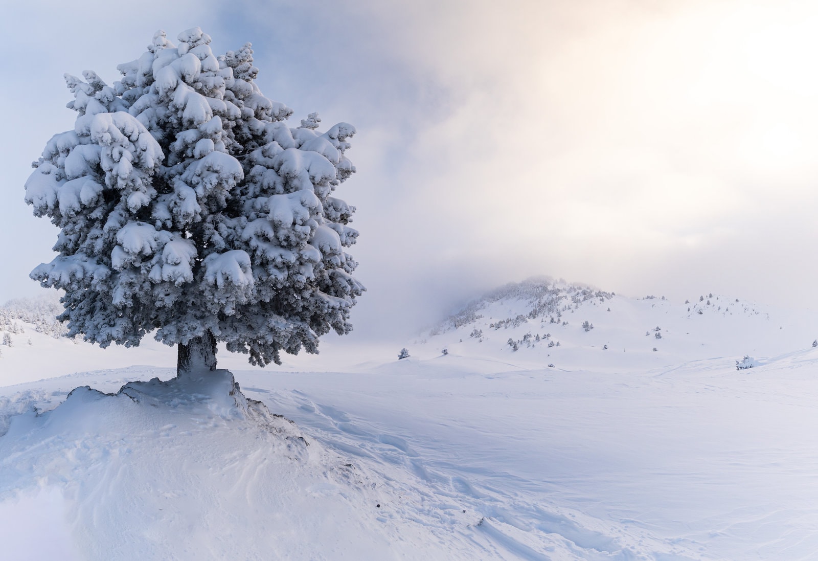Les Plateaux du Vercors immaculés