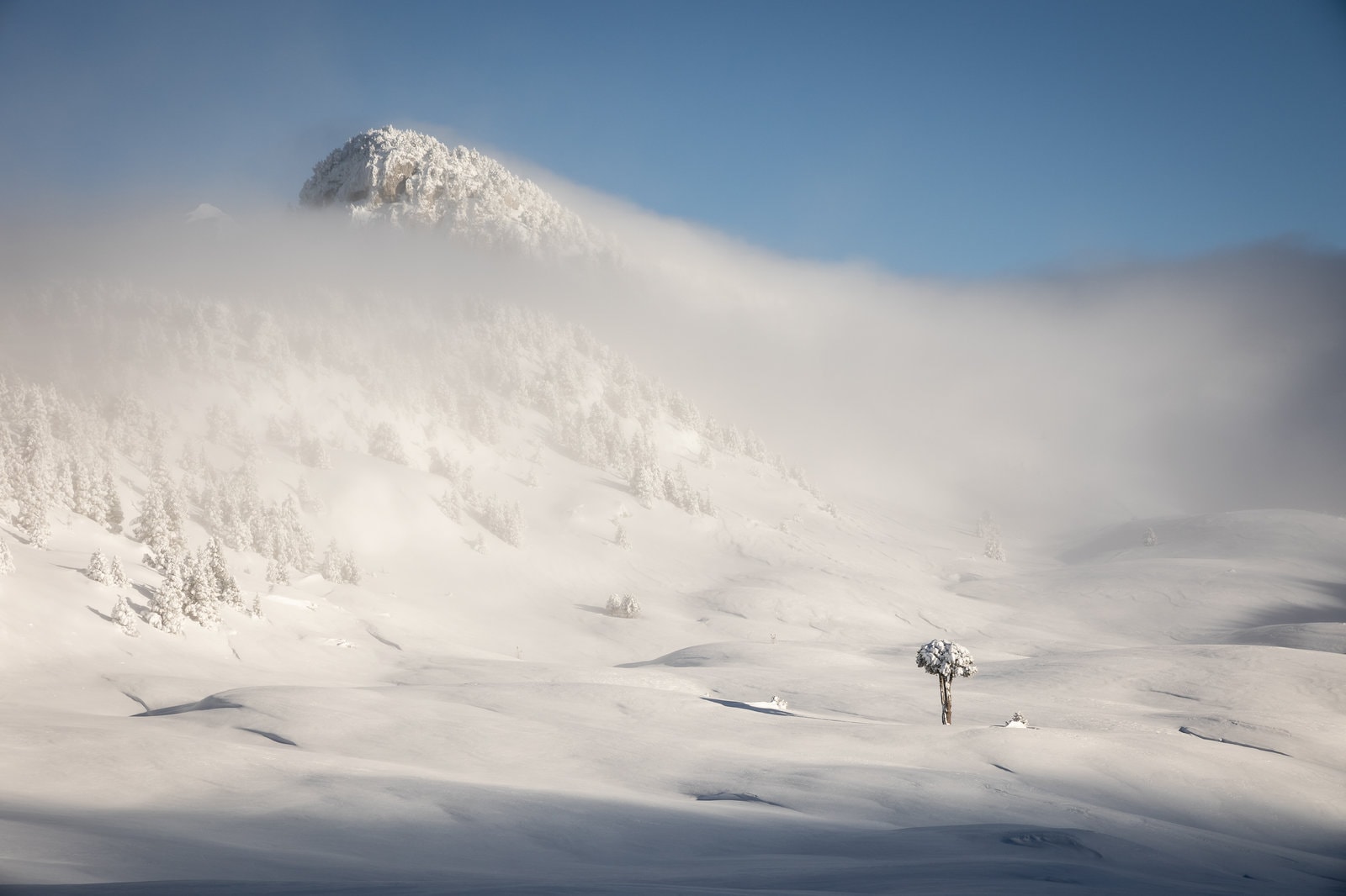 Les Plateaux du Vercors immaculés