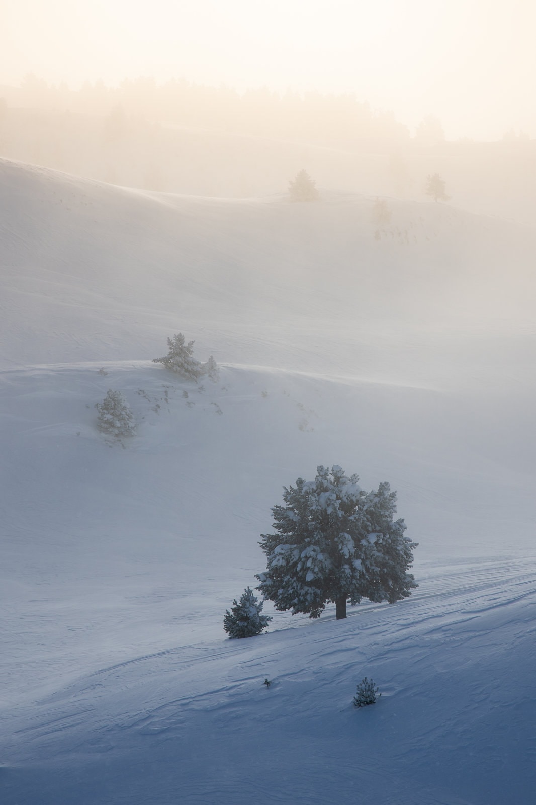 Les Plateaux du Vercors immaculés