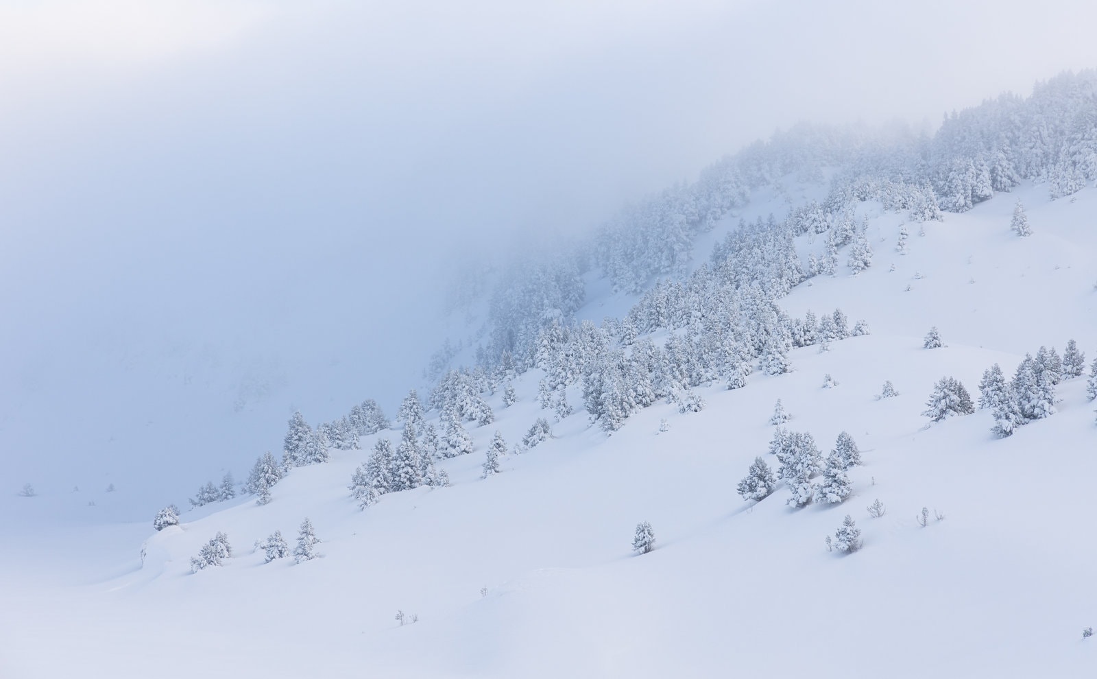 The Immaculate Vercors Plateaus