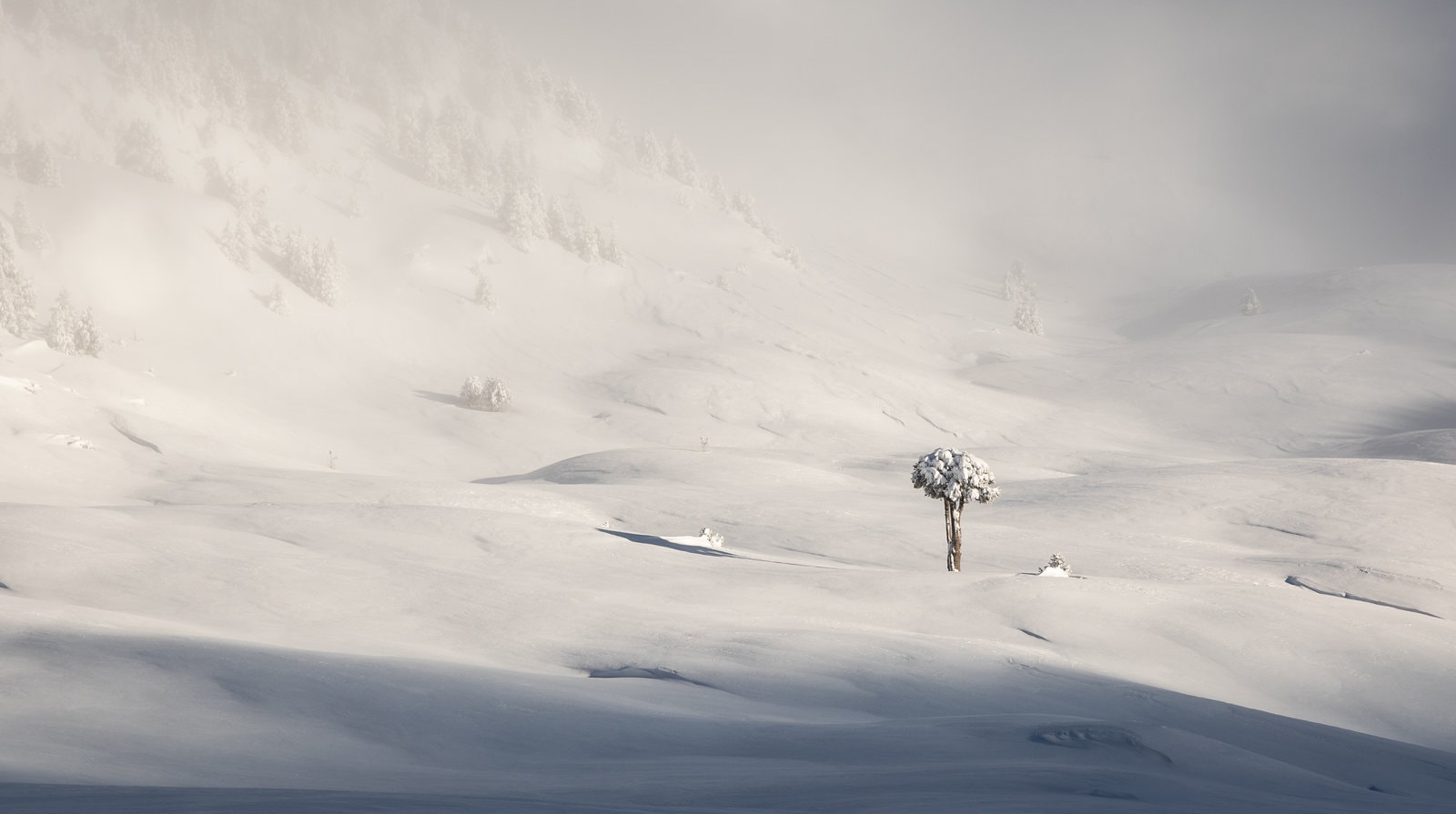 Les Plateaux du Vercors immaculés