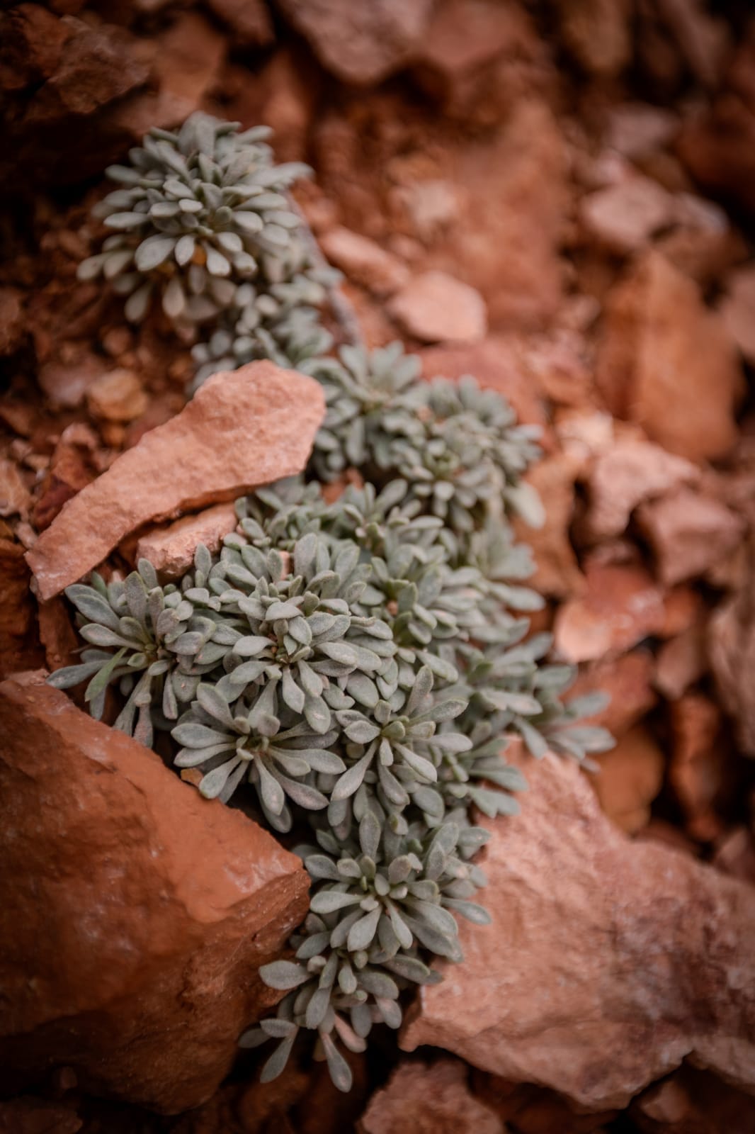 Une première journée sur la peekaboo loop — Parc National de Bryce Canyon, Utah