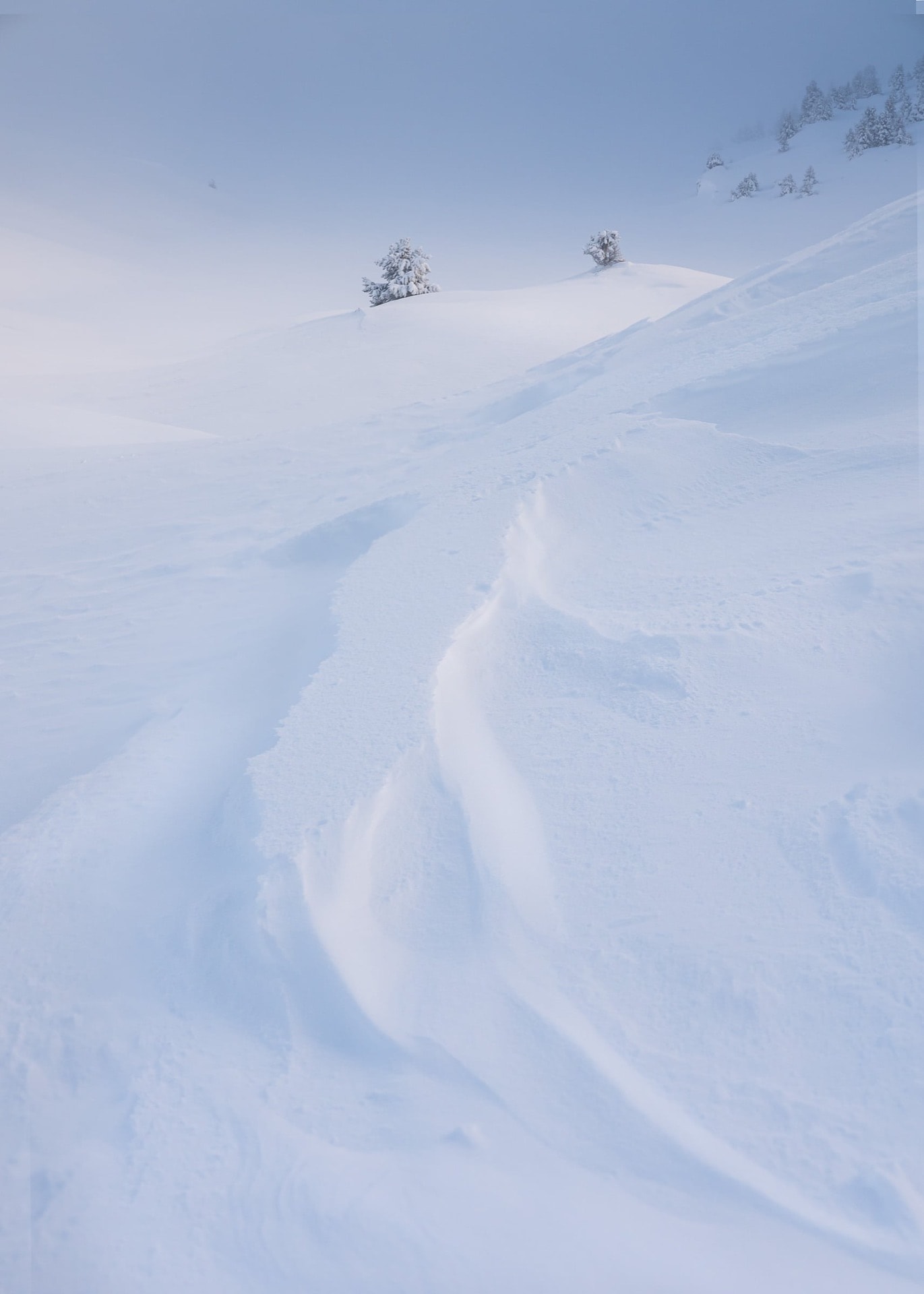 Reliefs gelés — Vercors