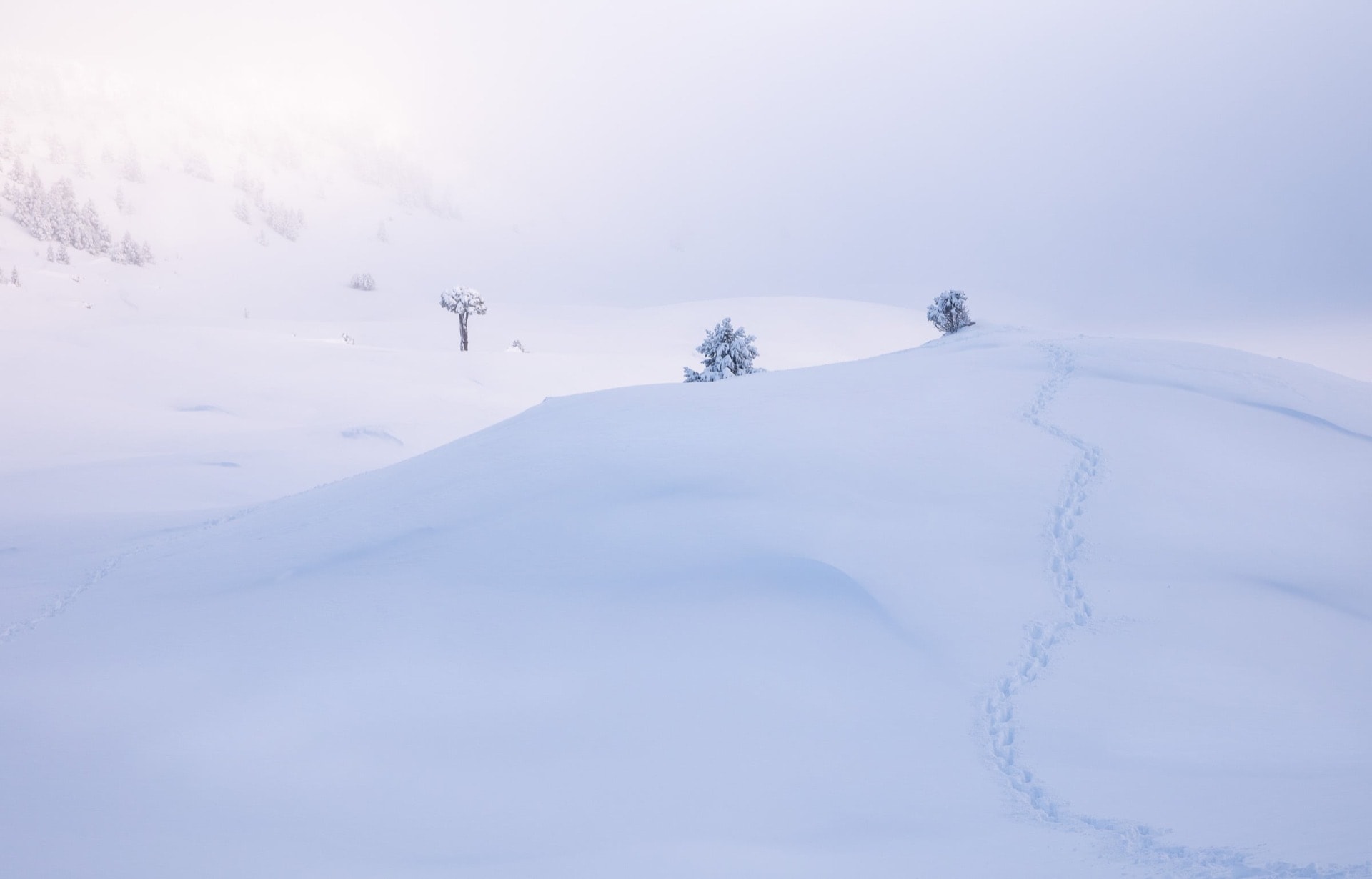 Le royaume du silence — Vercors
